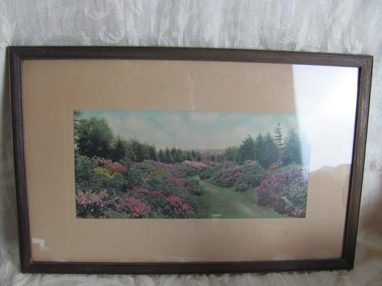 Antique Garden Flowers Path Hand Tinted Photograph Print Wallace Nutting Style