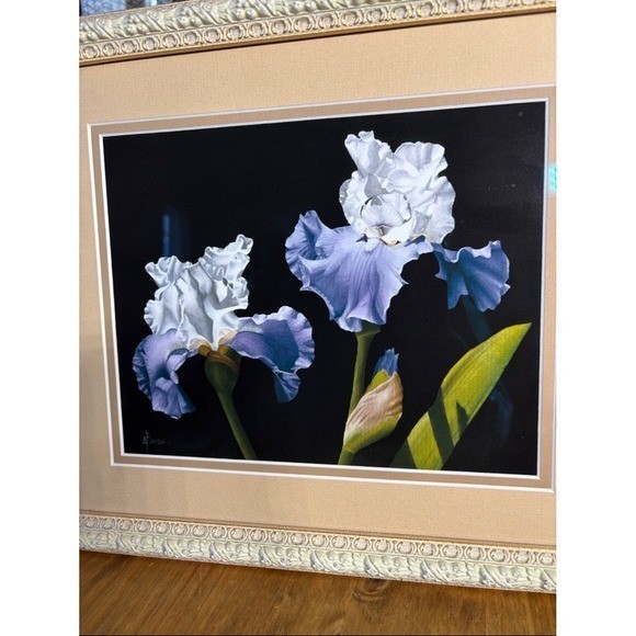 A. Bush Purple Irises Floral Art Print Photography Framed 15.5″ EUC GIFT Decor