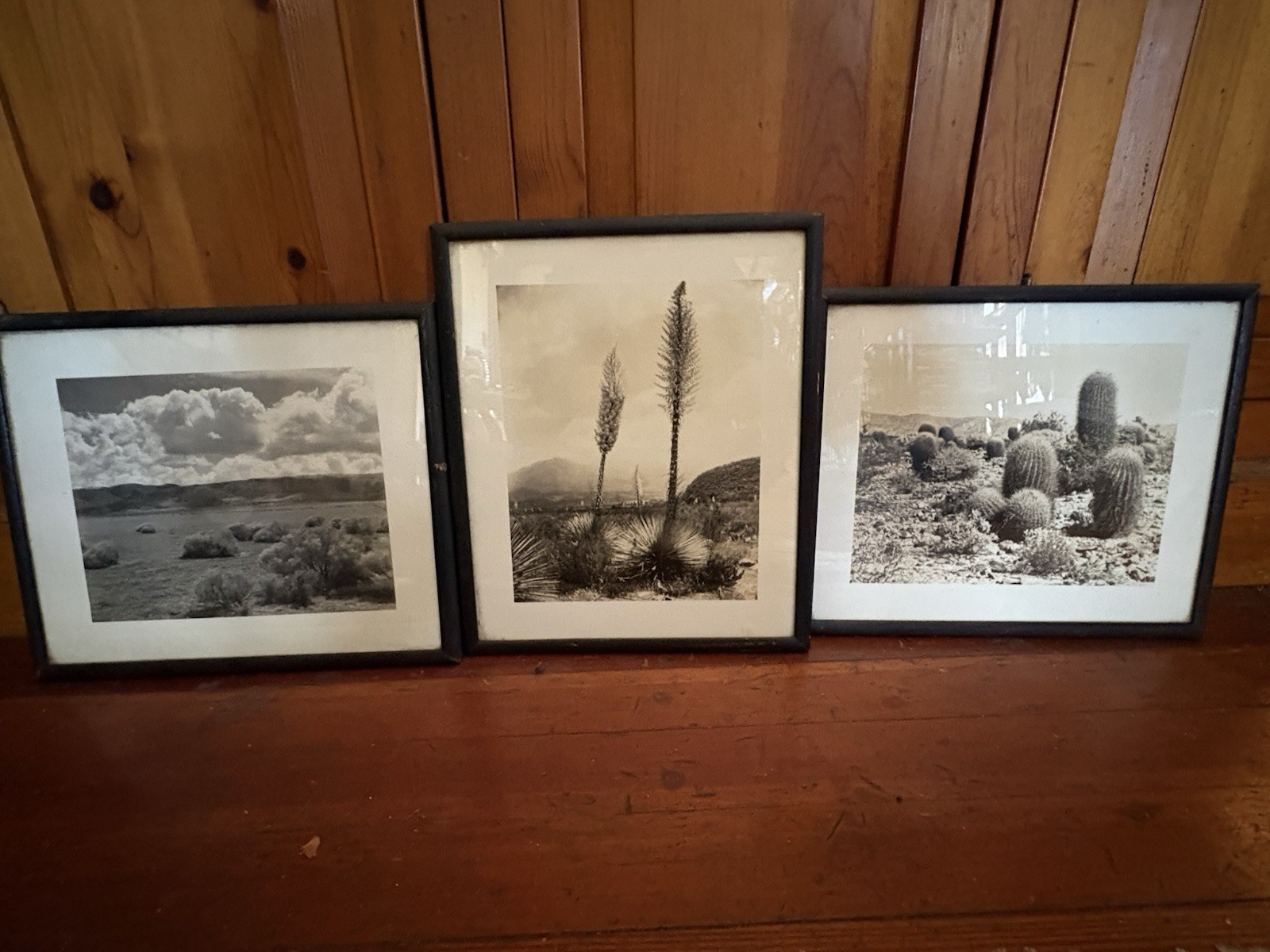 Mid Century Modern Southwestern Art Photographs Desert Cactus Mountains Sky