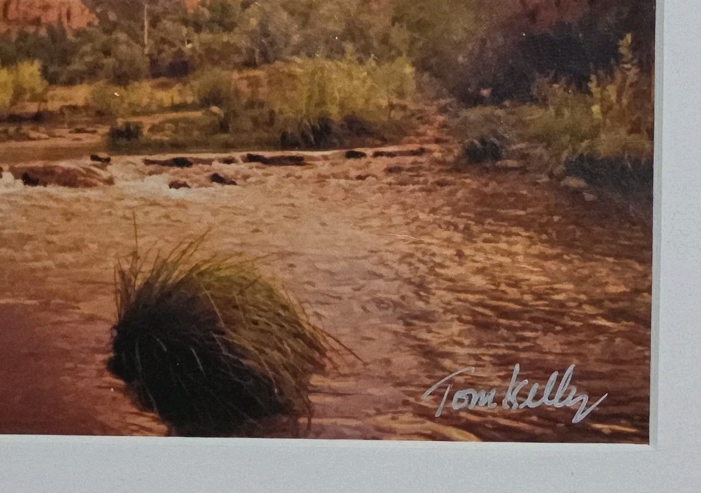 Tom Kelly Red Rock Fever Arizona Desert Photo Art Matted Signed 12”X16” Canyon