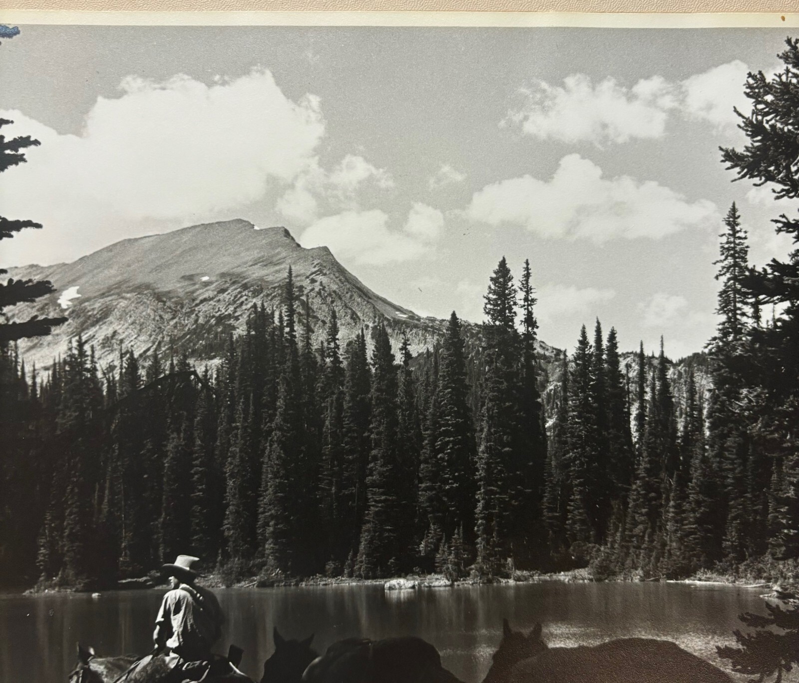 Original HARRY ROWED ‘Morning in the Valley’ Horseback in CANADA Mountains PHOTO