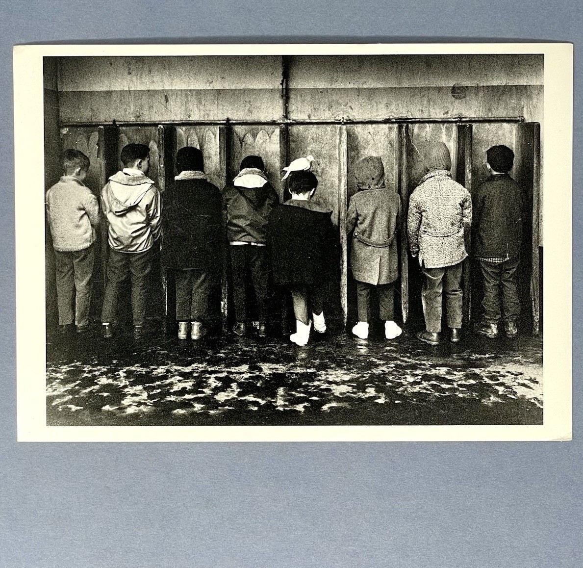 Robert Doisneau Art Photo Print Card By Fotofolio – The Boy And The Dove, 1960s