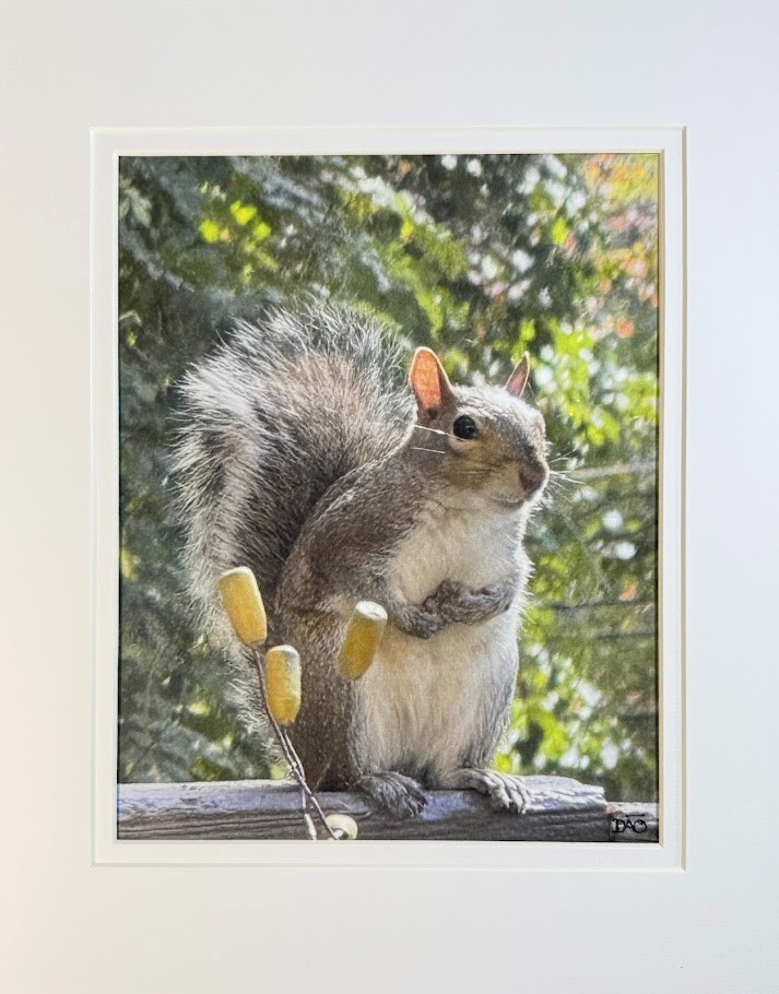 Hungry Squirrel Digital Watercolor Original Photograph 8 X 10 Mat 11 X 14 Signed
