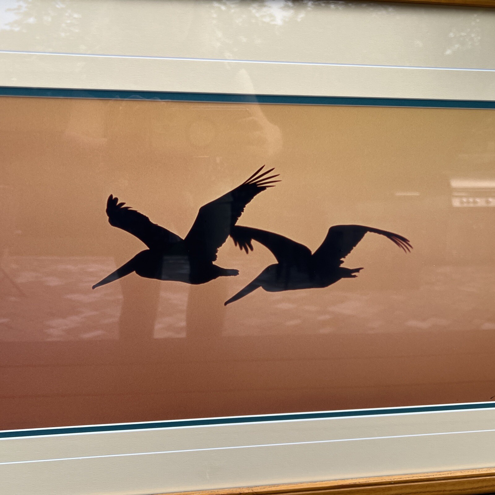 Thomas Mangelsen Signed Art Photo Ltd Pelicans Birds Wings At Dusk Numbered MCM