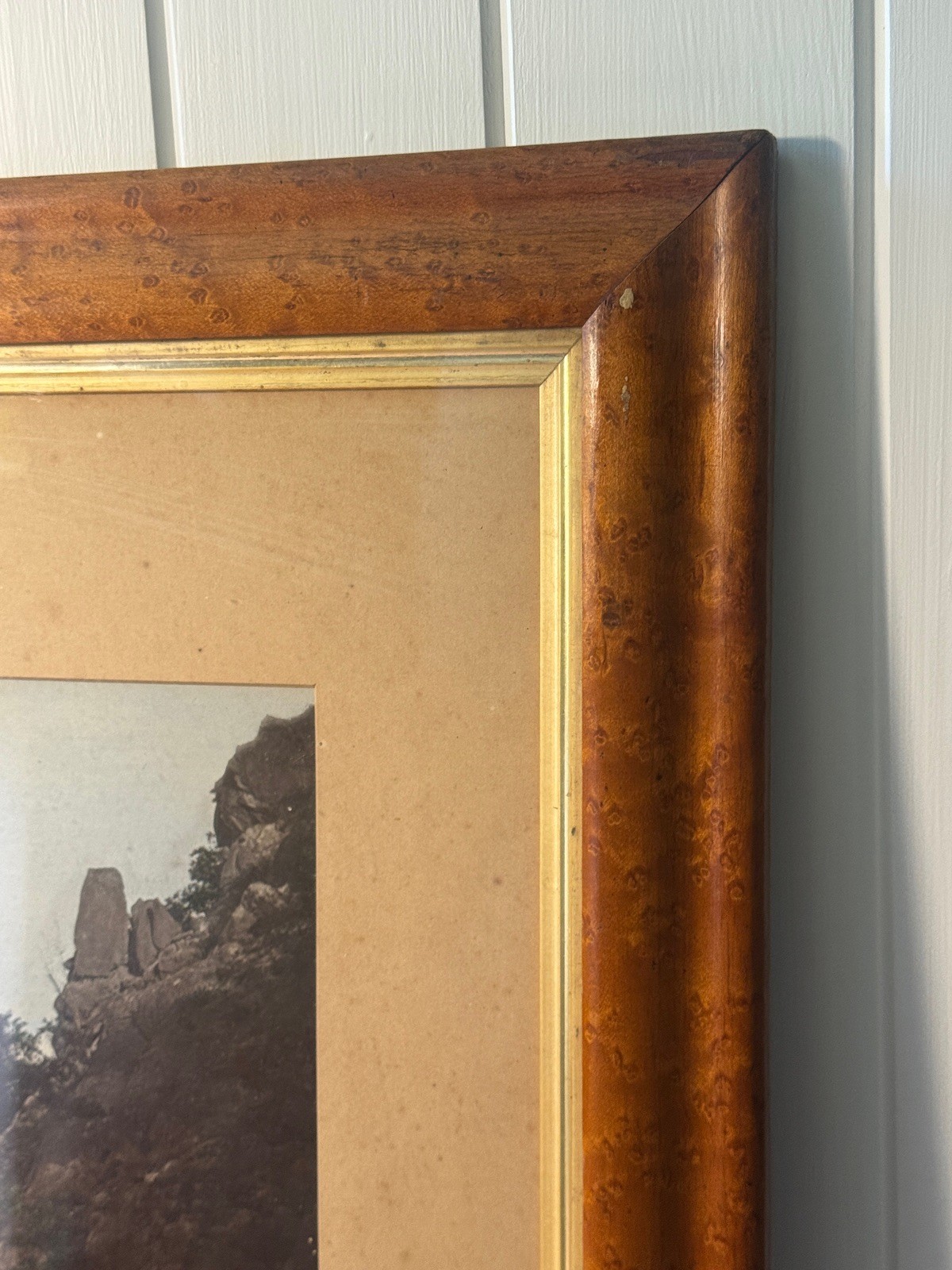 c.1900 Hand-Tinted Albumen Photograph Indigenous Landscape in Burr-Walnut Frame