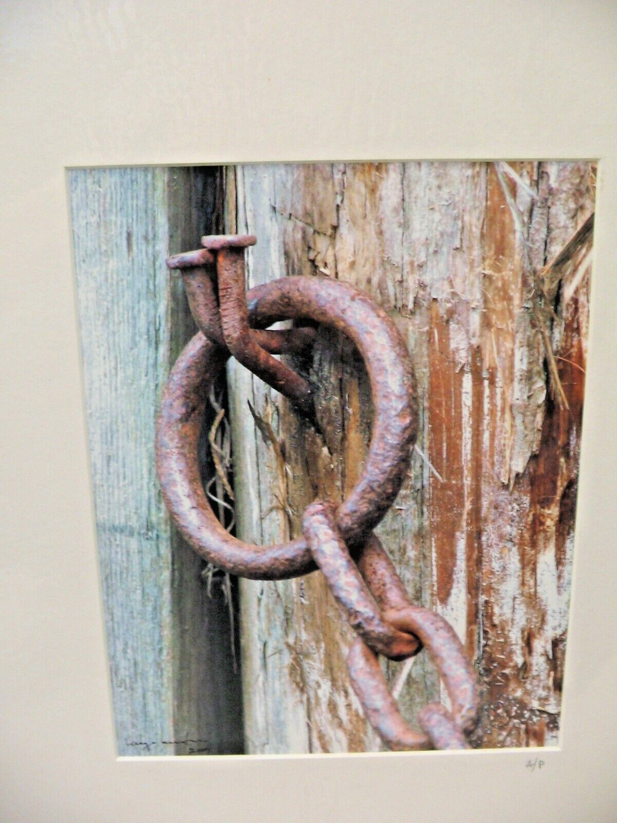 ART PHOTOGRAPHY Chain Lock A/P Color Matte Paper 16×20 By Larry Santucci
