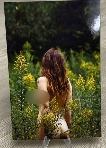 Pinup Girl 4×6 Glossy Photograph Beautiful Woman Nude Model Female Form Fine Art