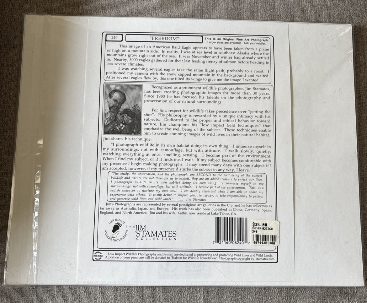 Matted Orginal Fine Art Photo by Jim Stamates “Freedom” Eagle 14”X11” Paperwork