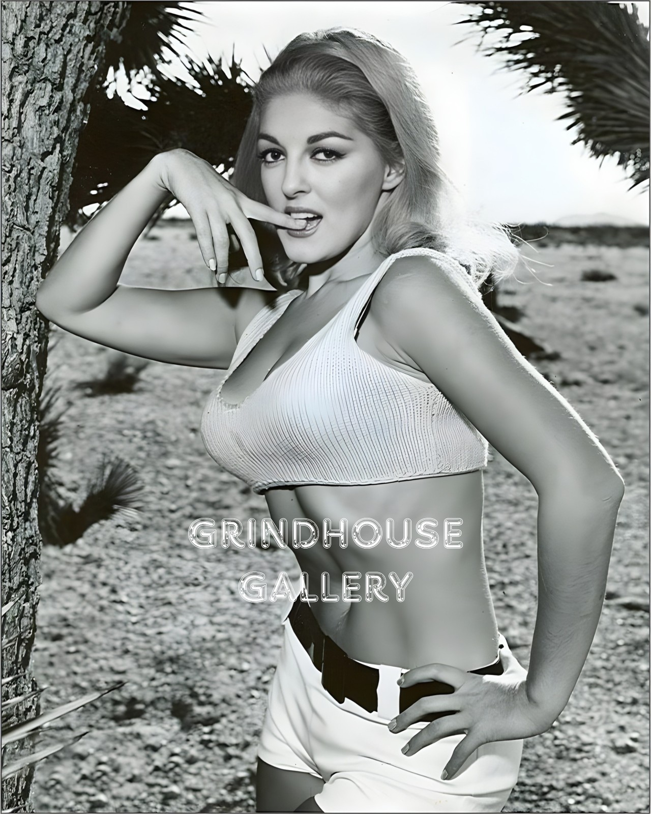 LORI WILLIAMS Faster Pussycat Kill Kill Actress Pin-Up Retro Art Photo Print #2