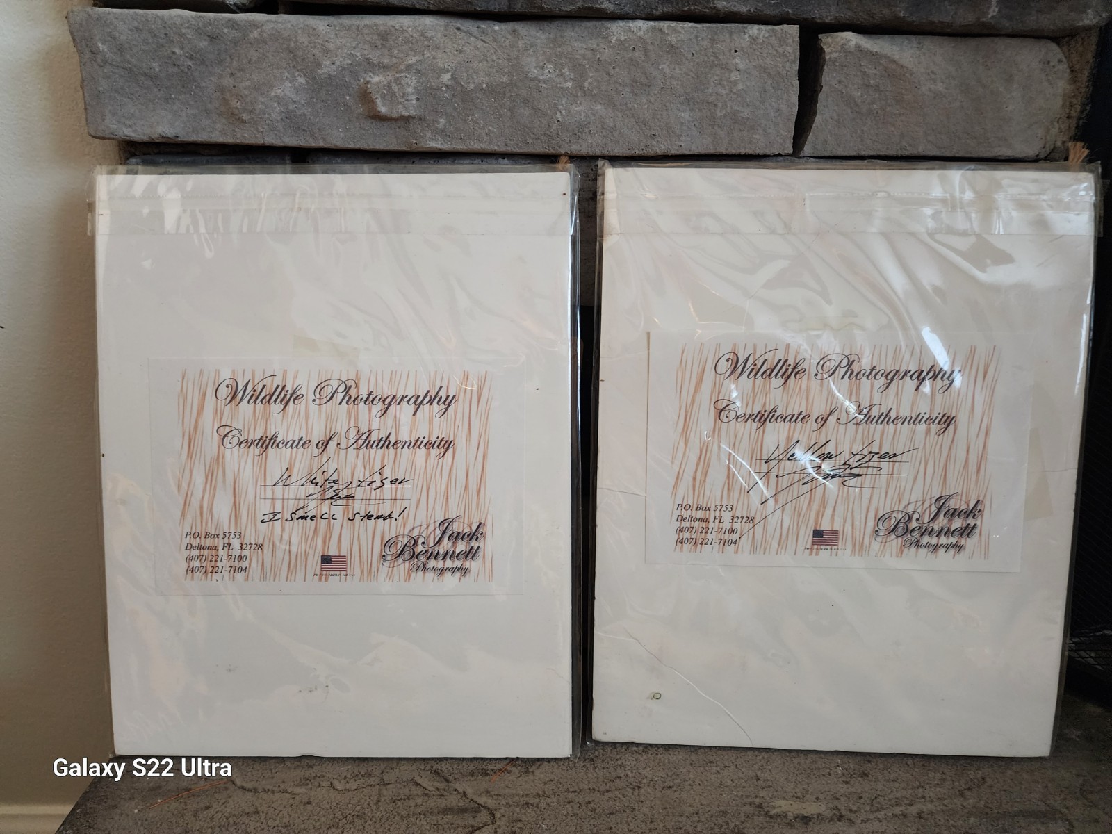 Yellow Tiger, White Tiger, set of 2, matted w/cert of authenticity, wildlife