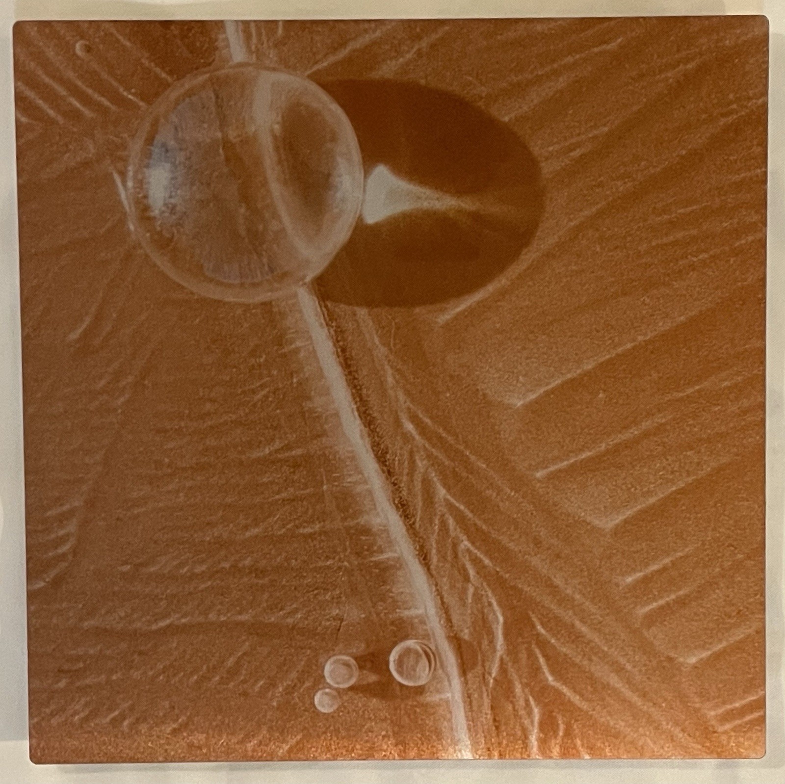 Original Photograph On Metal Sedona,Arizona By Claudia Cooke