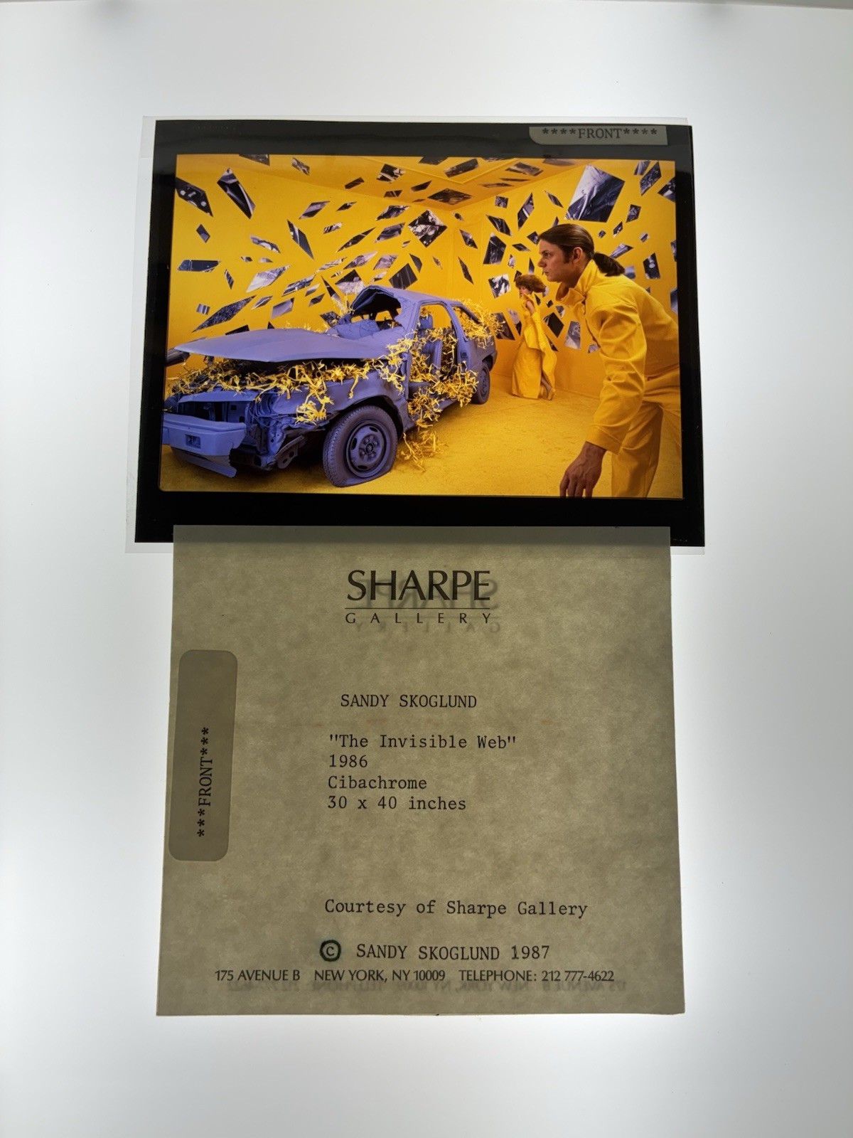 Sandy Skoglund Transparency Archive Lot Revenge Goldfish Radioactive Cats