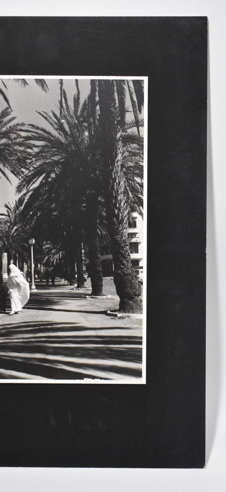 Vintage James W. Howlett Black and White Photograph, ‘Morrocan Palms’