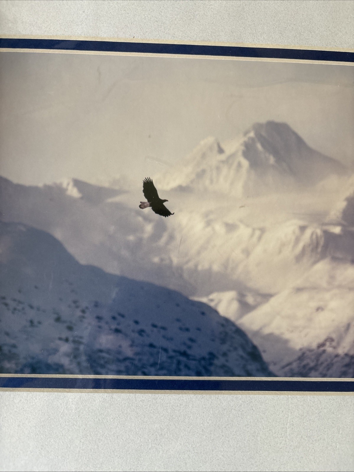 Matted Orginal Fine Art Photo by Jim Stamates “Freedom” Eagle 14”X11” Paperwork