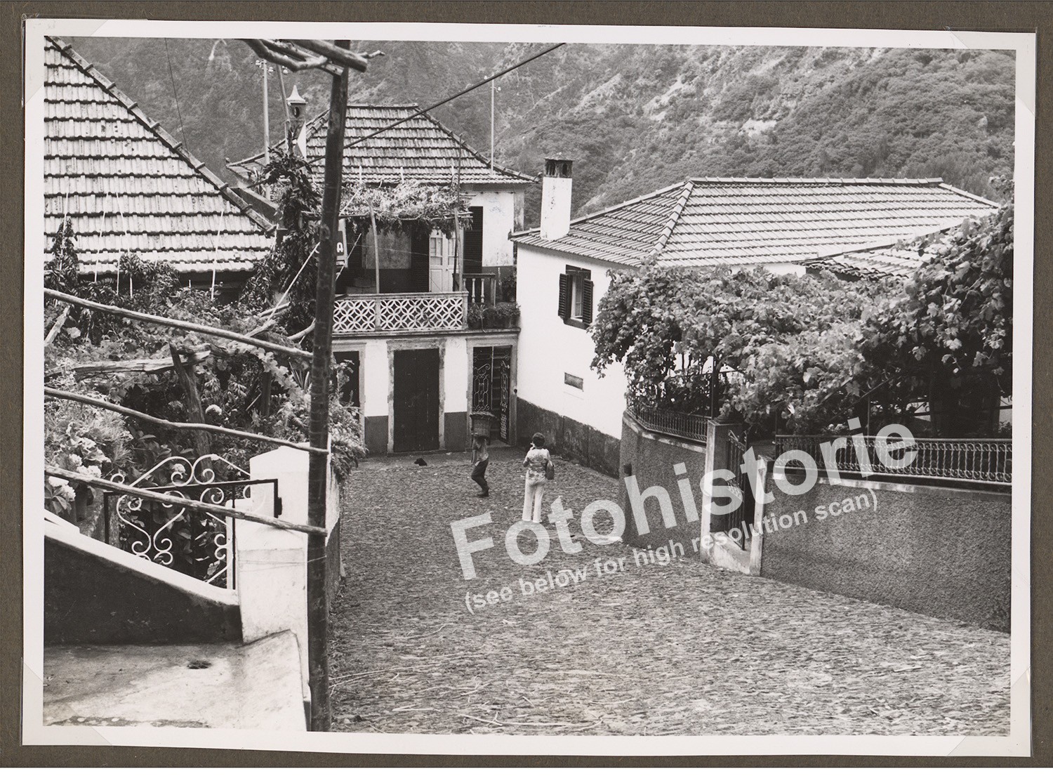 4x Photo Madeira – Nun Valley Curral das Freiras Câmara de Lobos 1960s