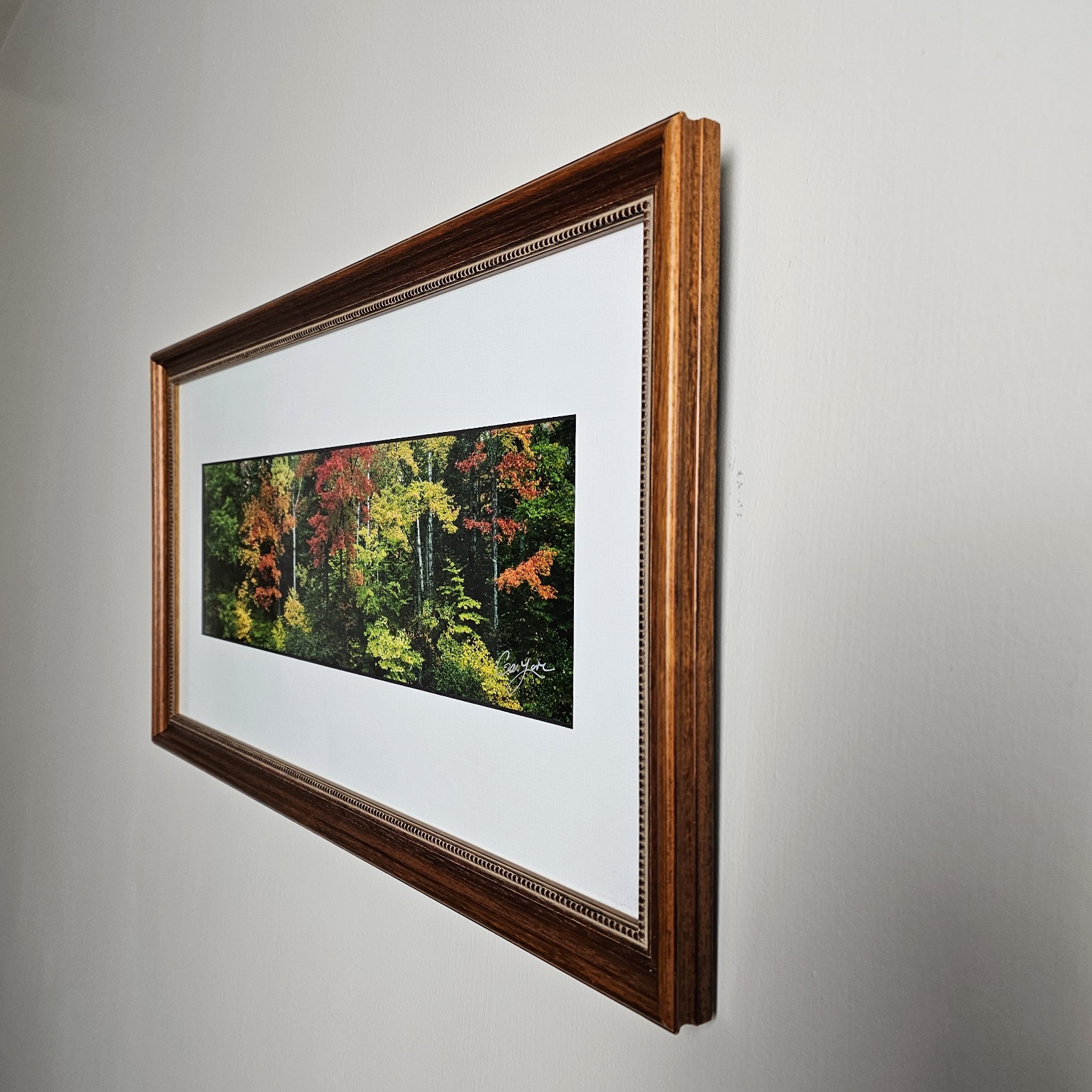 ART – Signed Gary Love Photograph 21.75×11.75 Framed Landscape Art – Maine Trees
