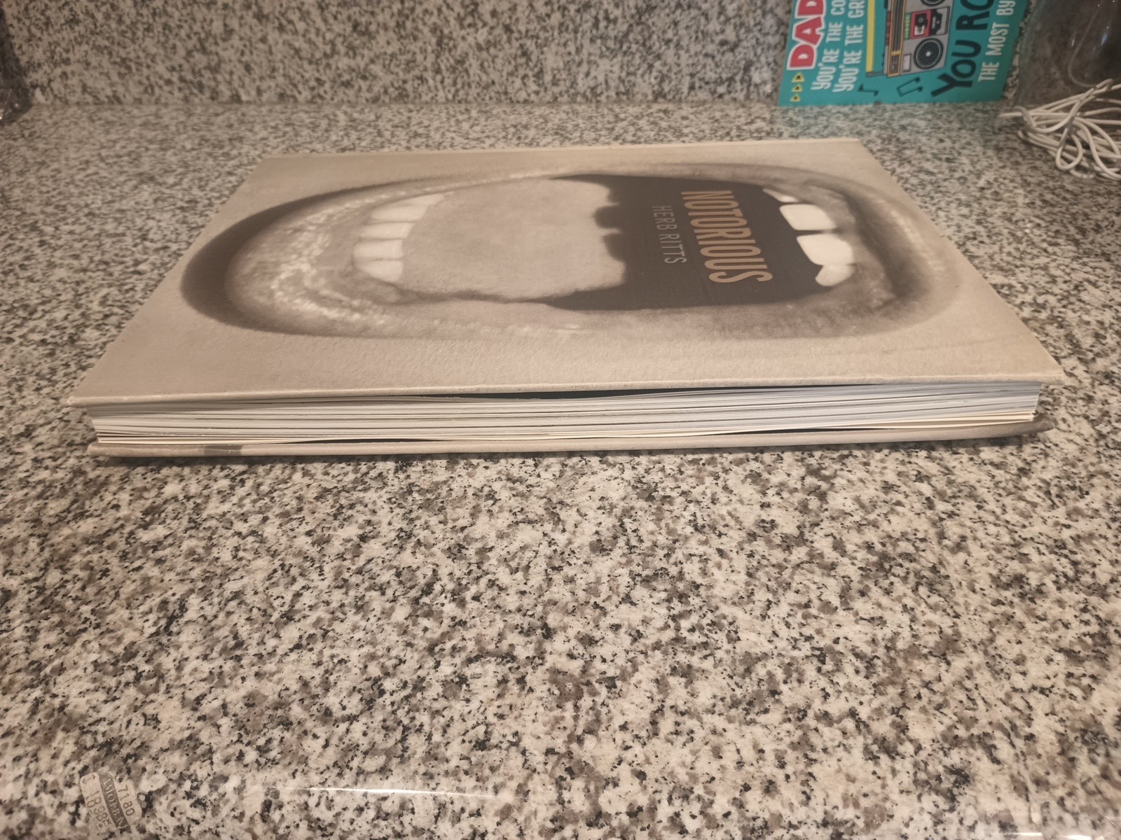 NOTORIOUS Herb Ritts Photo book Photography bulfinch press 1992 W300×H390mm Used