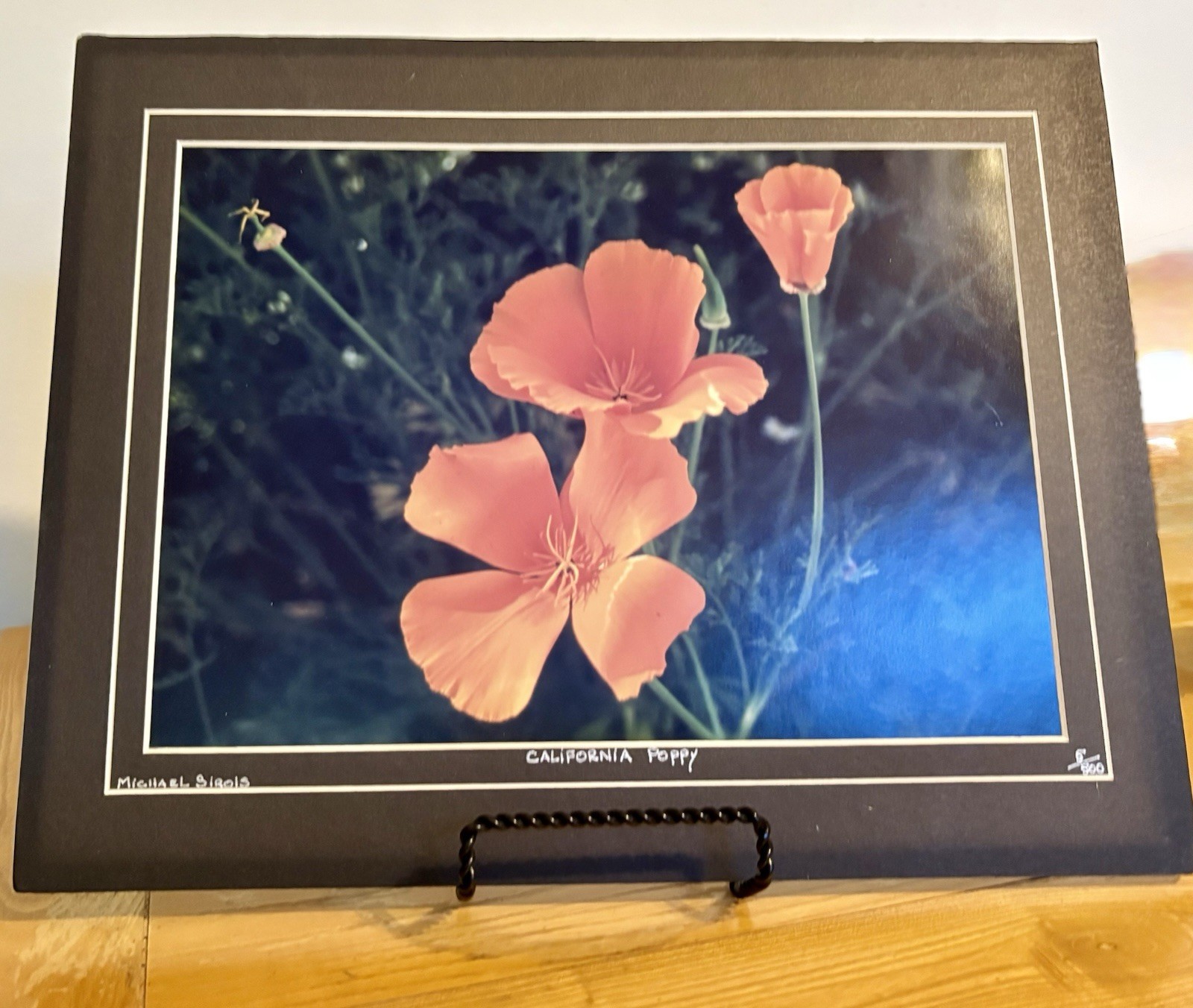 Michael Sirois Signed “California Poppy” Color Landscape Floral Photo, Matted