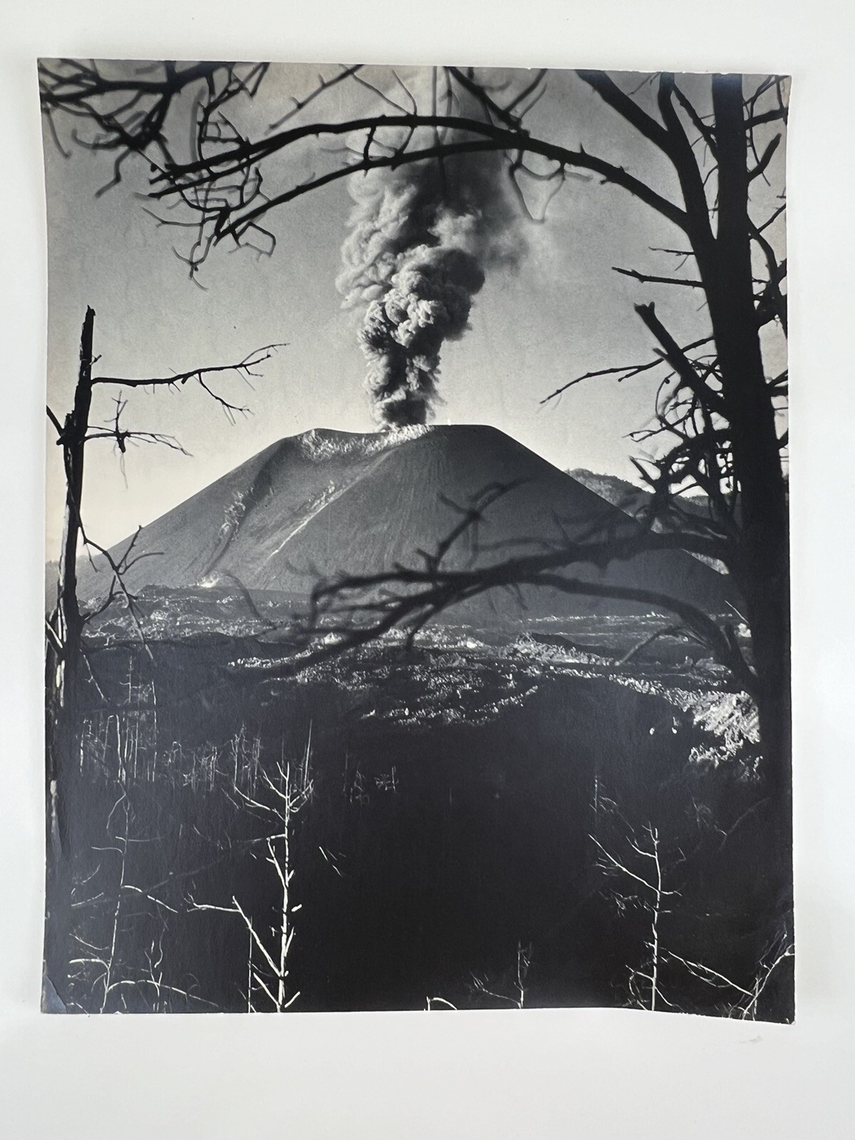VTG Large Black & White Photograph Photography Print Parícutin Volcanic Eruption