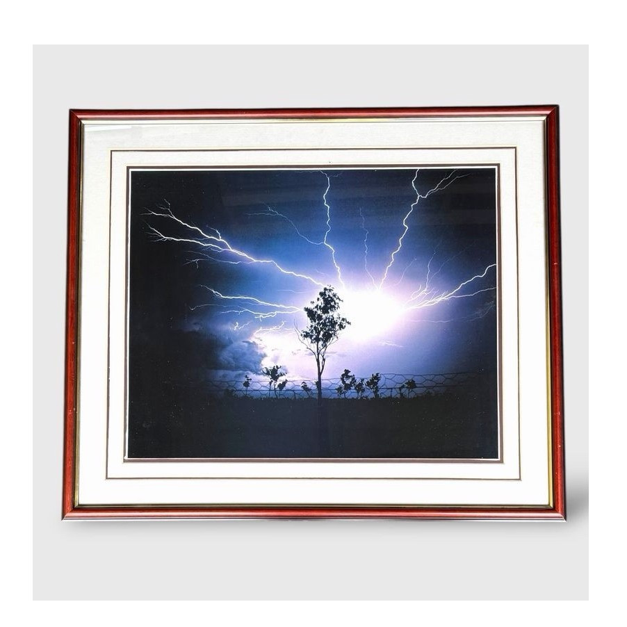 Lightning Storm Tree Photograph Framed Matted Wall Art Nature Print 29×25
