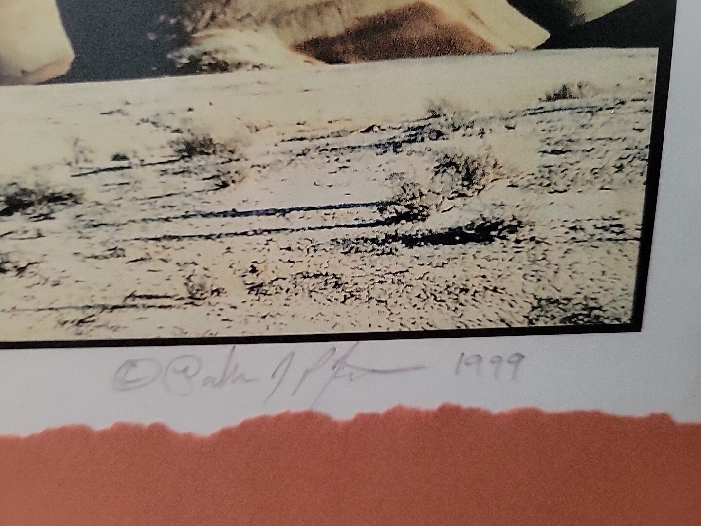 Painted Hills Oregon Photograph Signed Matted Vtg 1999 Nielsen Frame READ