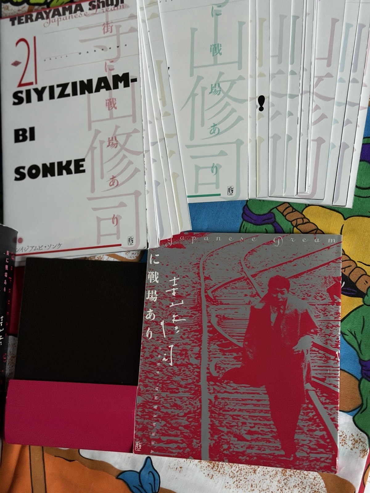 Japanese Dream hardcover book Shuji Terayama photography emperor tomato ketchup