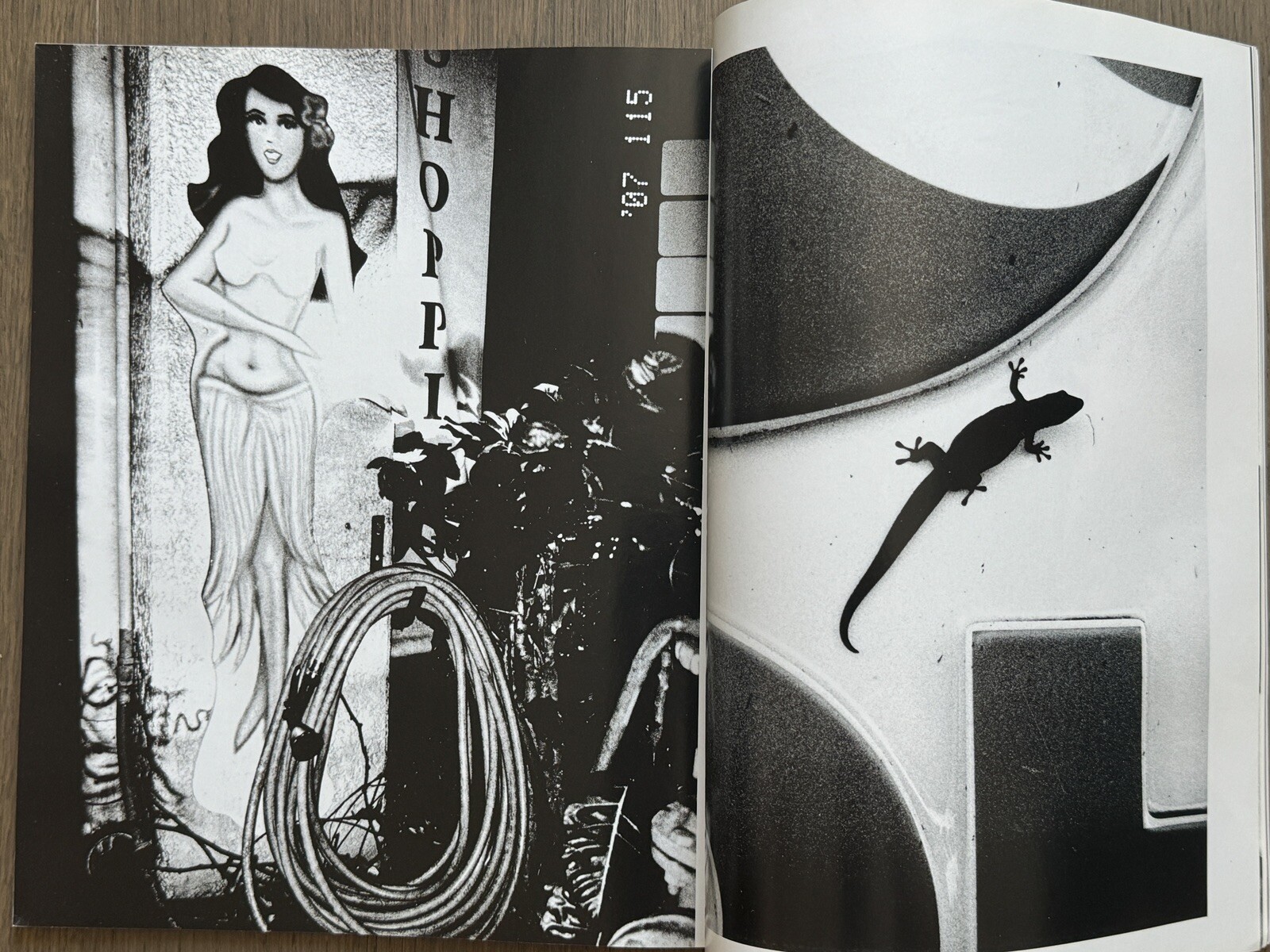 SupRARE! Polka – Daido MORIYAMA, Magazines 2020, 2021, Miho Kajioka, Meyerowitz