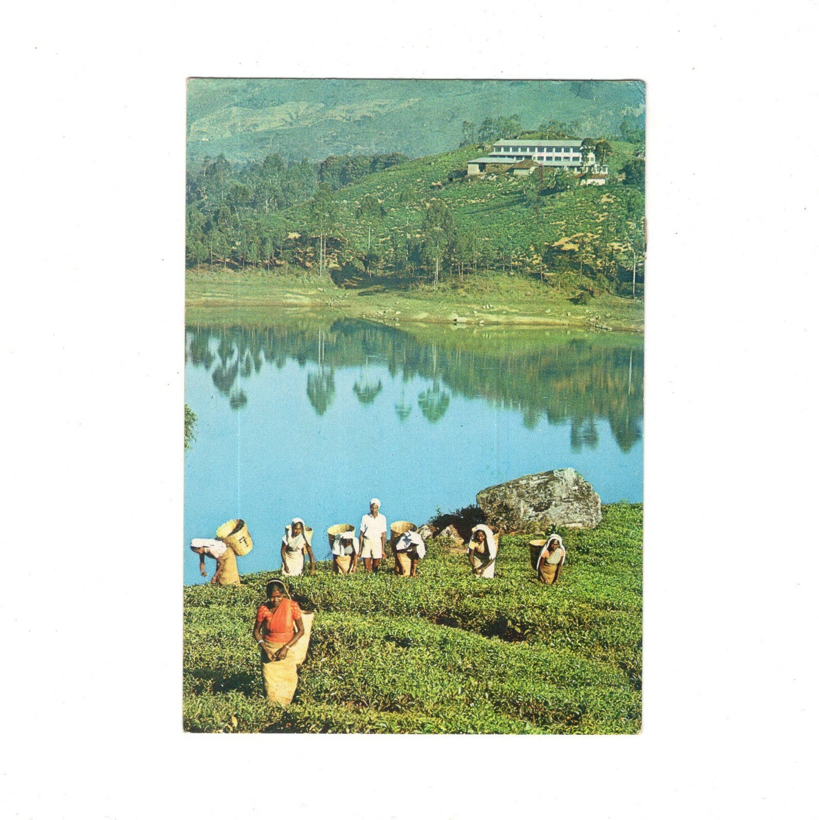 Postcard Sri Lanka / at farm work