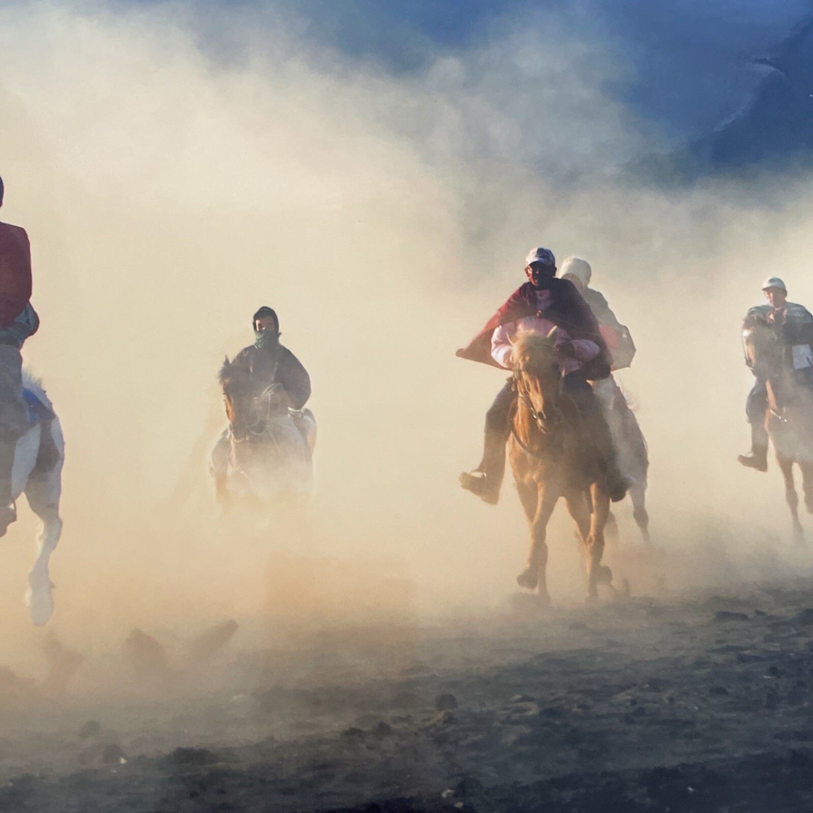 Returning Home Photo 12″ x 18″ Horses