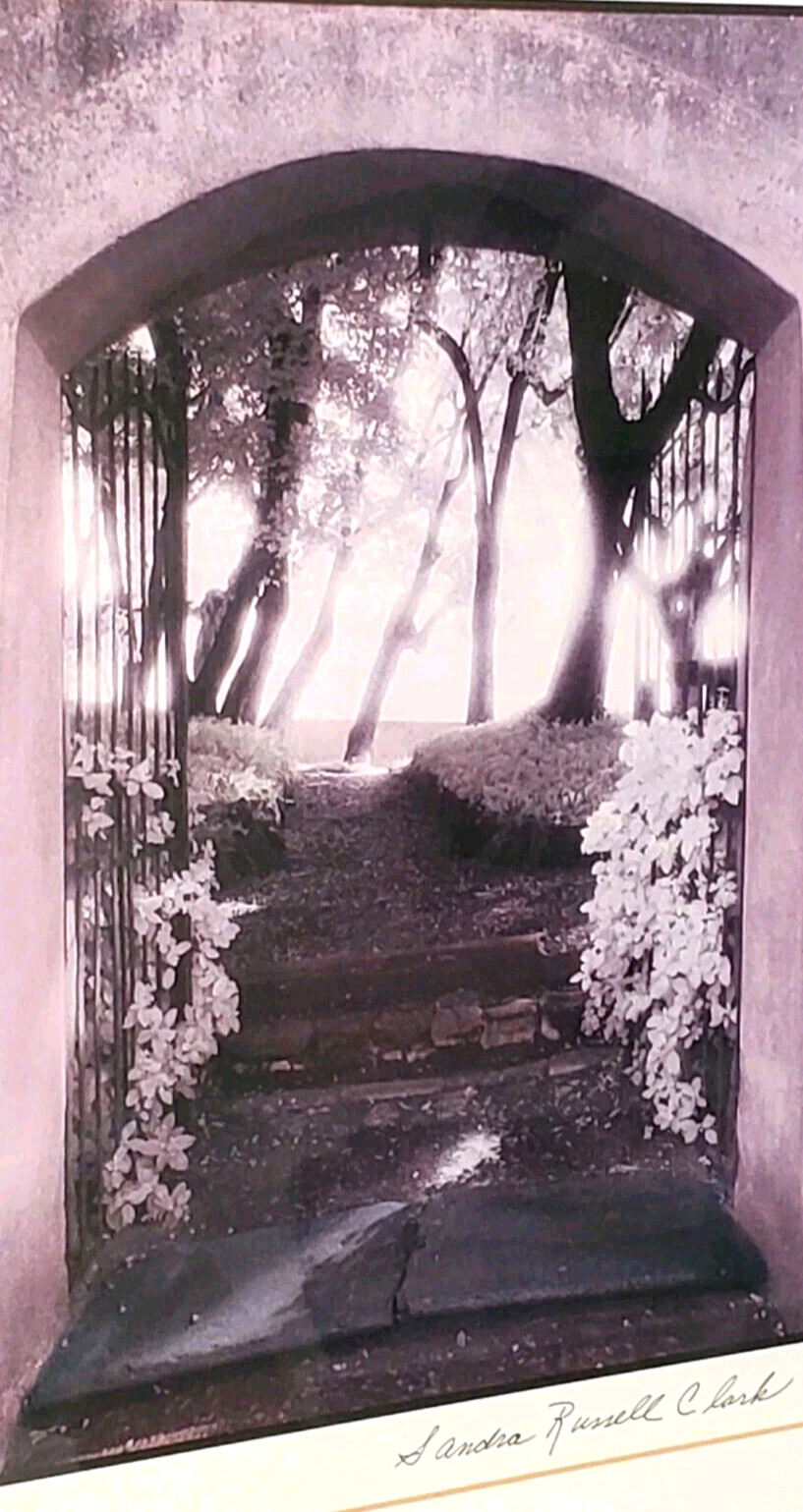 SANDRA RUSSELL CLARK (?) FRAMED/MATTED MONOCHROMATIC (PURPLE-TONES) GARDEN PHOTO