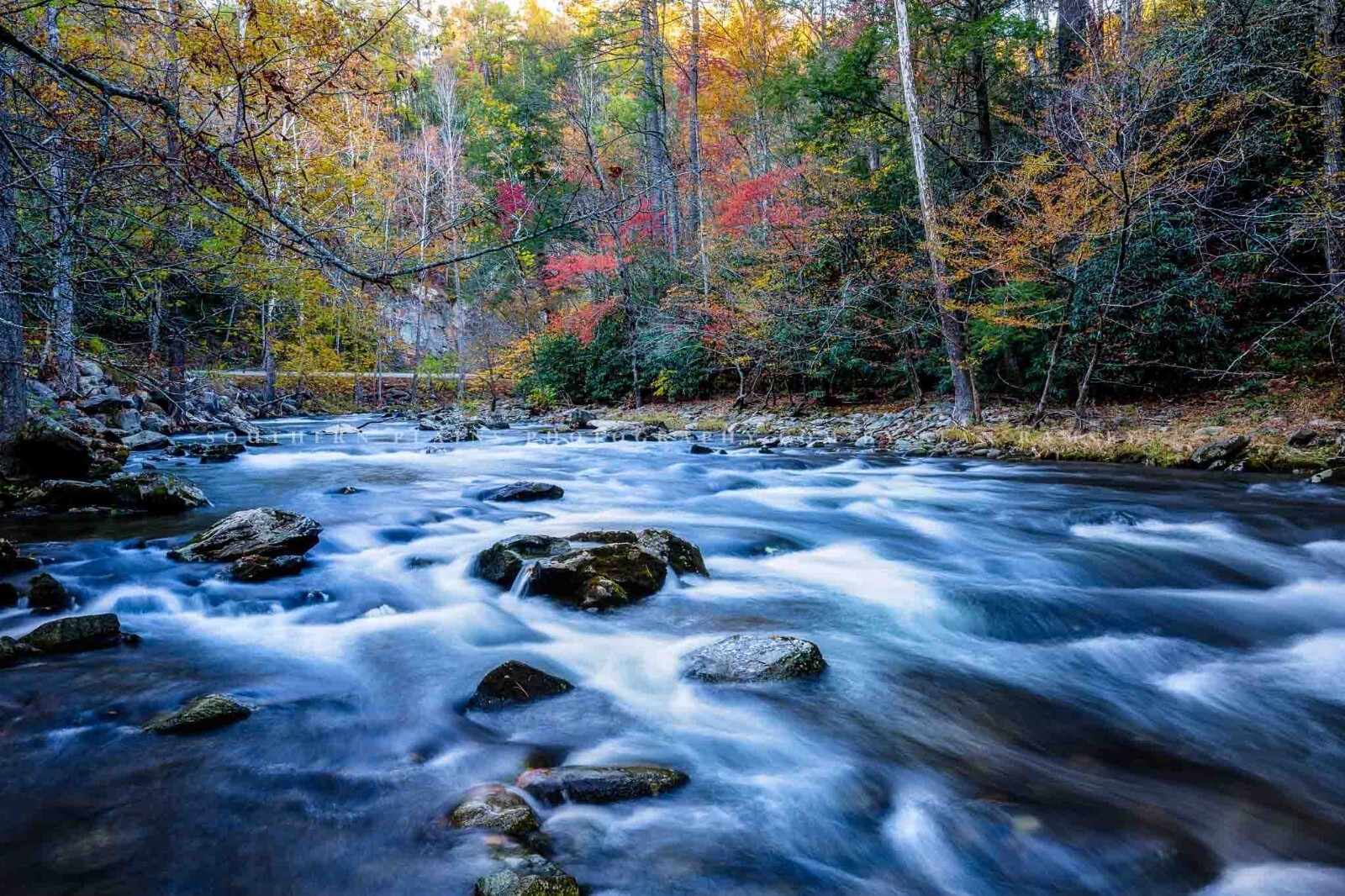 Great Smoky Mountains Photography Print – Laurel Creek on Fall Day in Tennessee