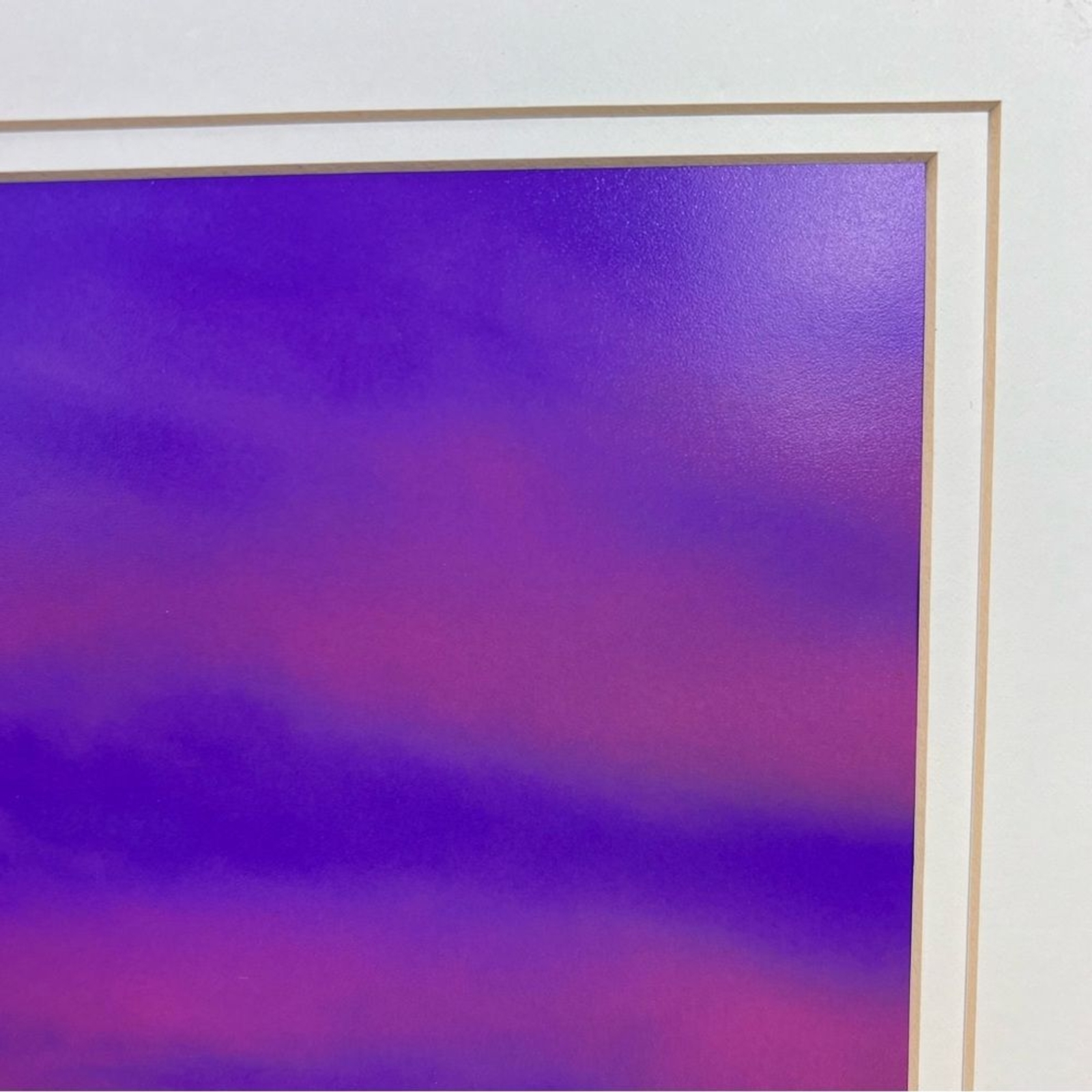 Debbie Yarra Nature’s Light Photography Print Hawk Spirit Soars in the Garden