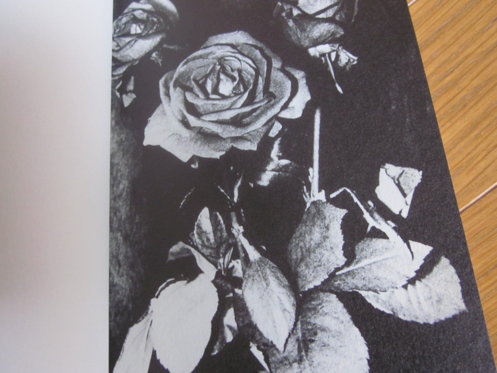 Daido MORIYAMA Photo Book NAKAJI JAPAN 2010 1 st. edition 1 st. print Obi band