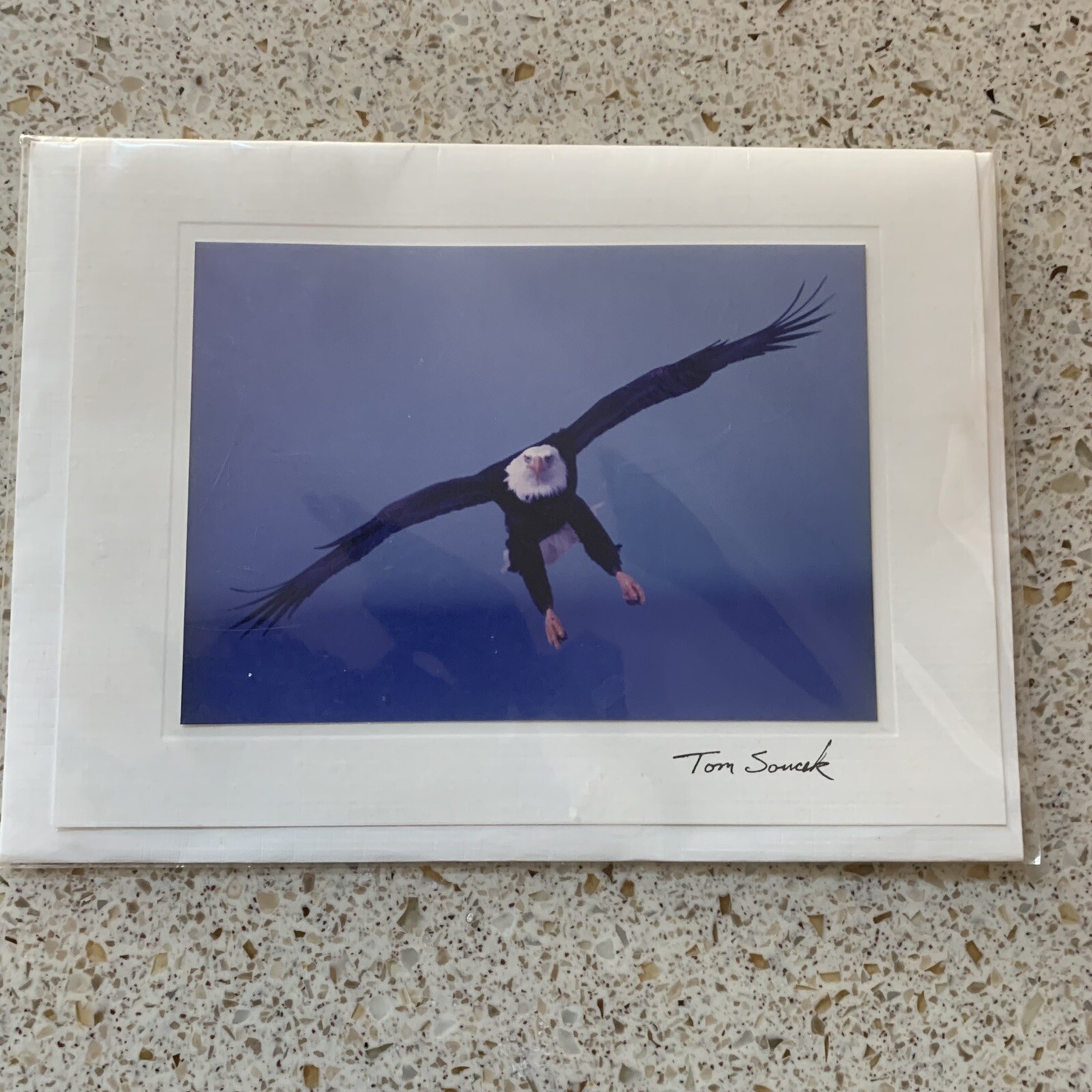 Photograph Notecard by Tom Soucek Eagle Landing Signed 1999