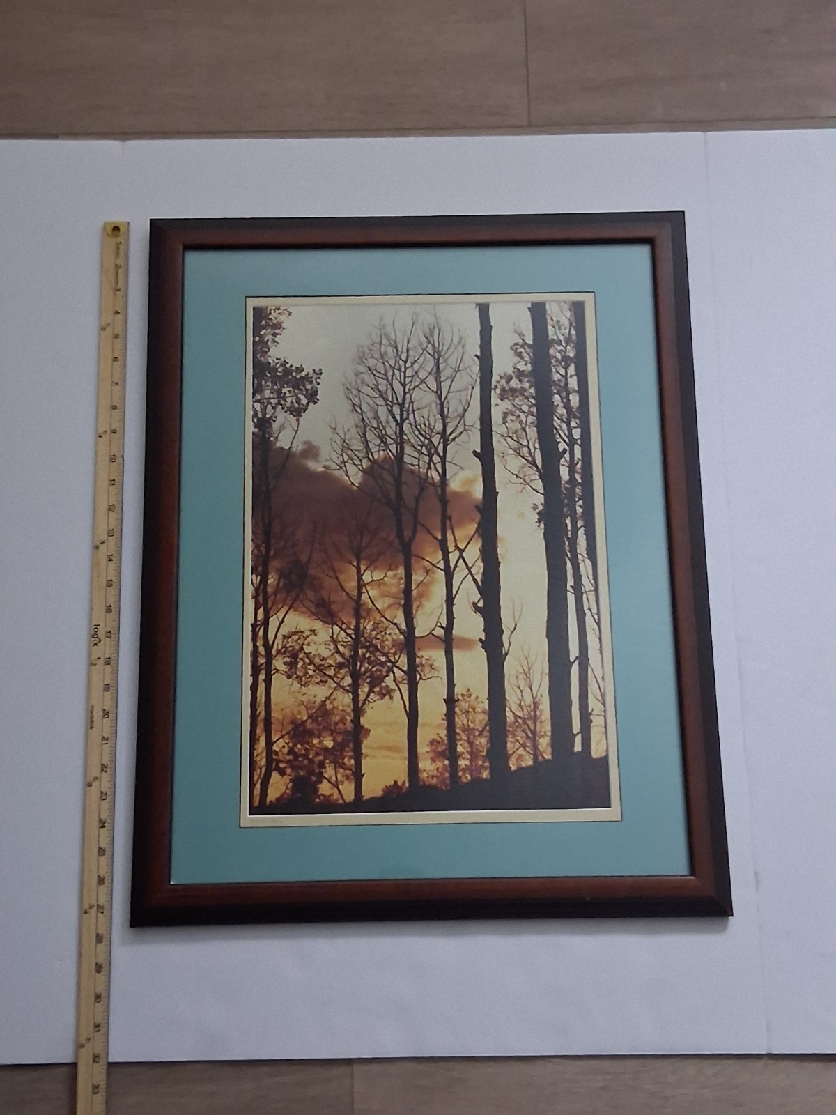 Framed Limited Edition Photograph — Sunset Silhouette Forest — Signed & Numbered
