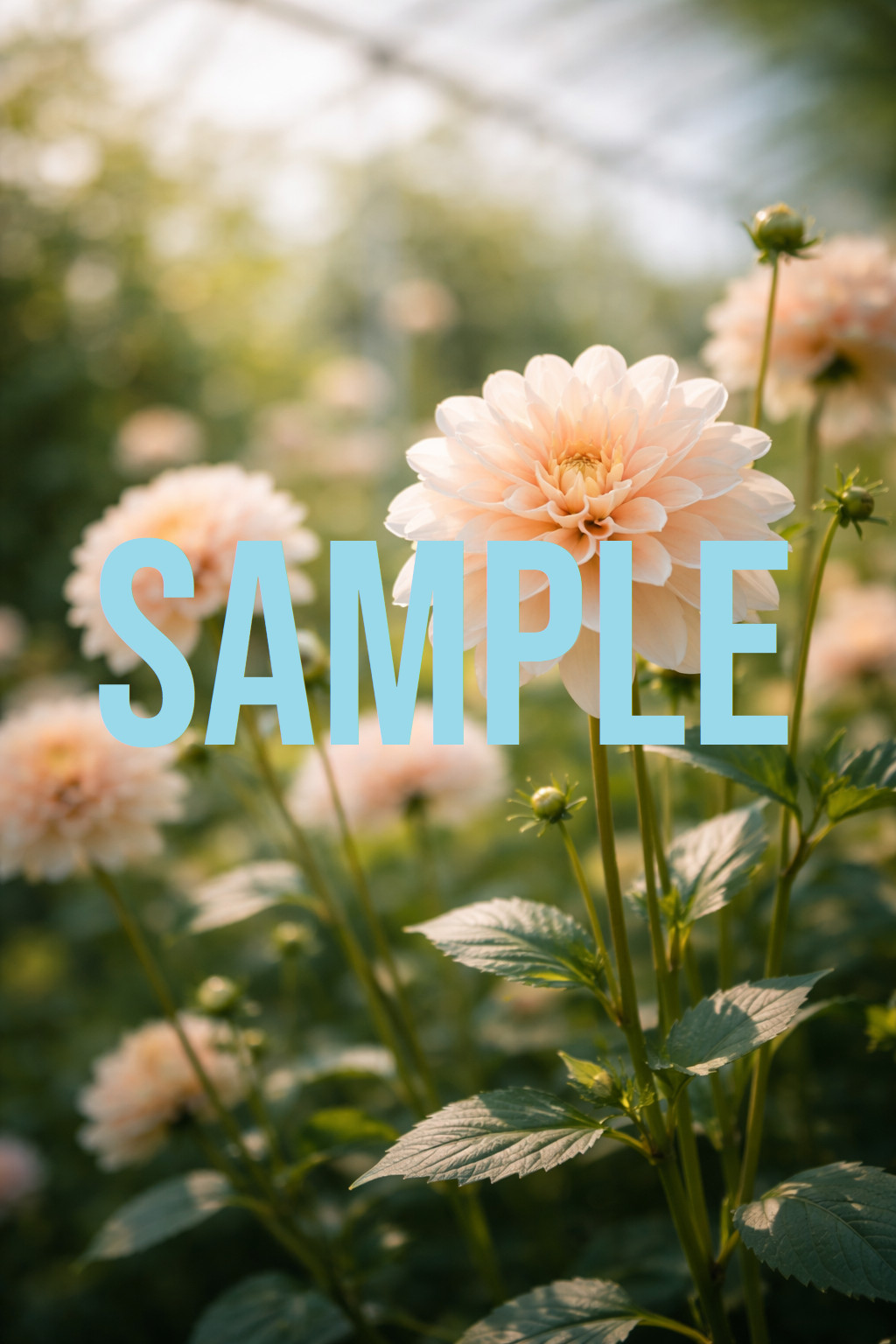 Digital Download Art Photo Image Wallpaper Background Desktop Printable Flowers