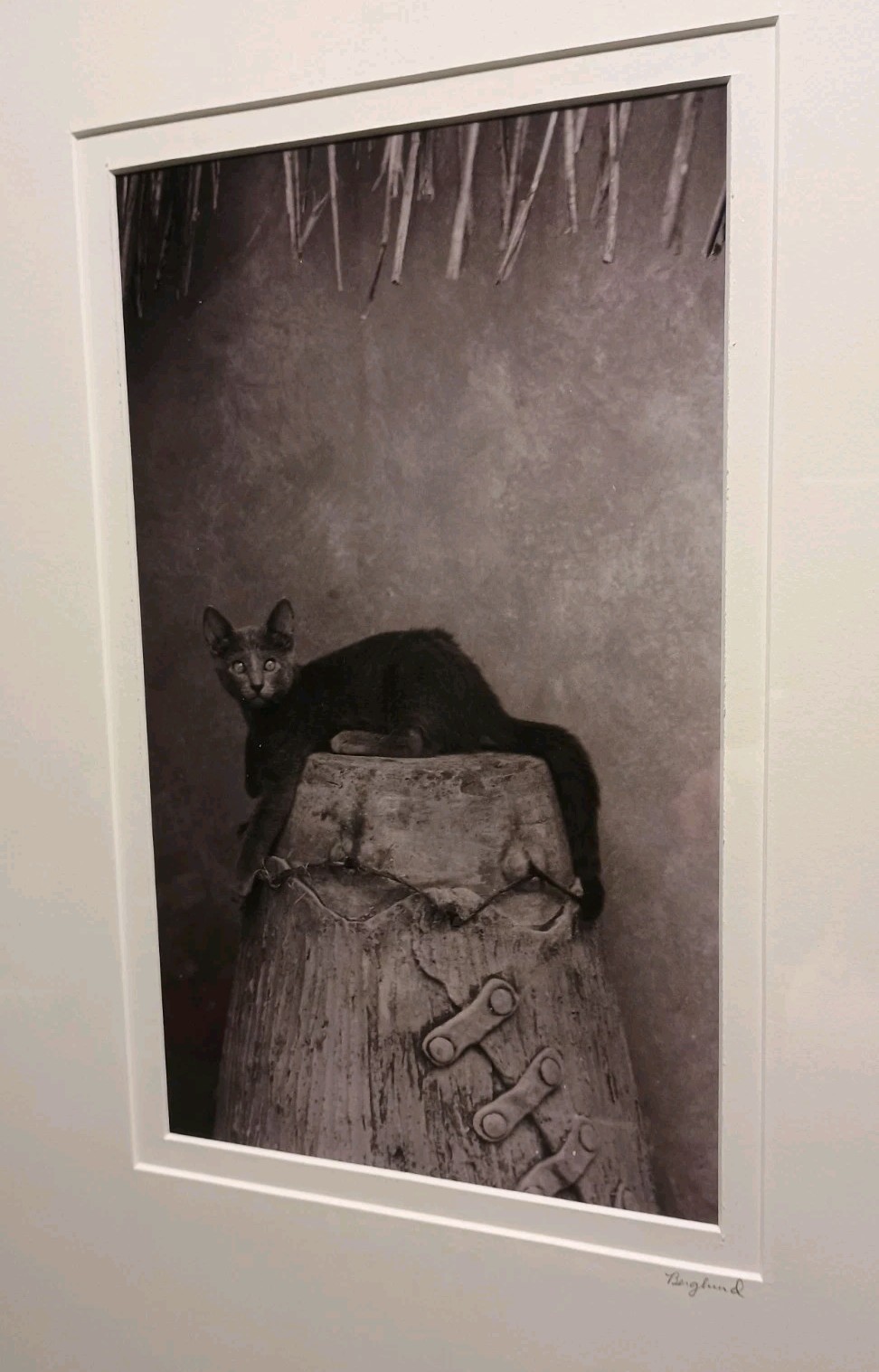 Sophisticated Kitty Cat Black & White Art Photography 17 X 21″ BERGLUND Signed