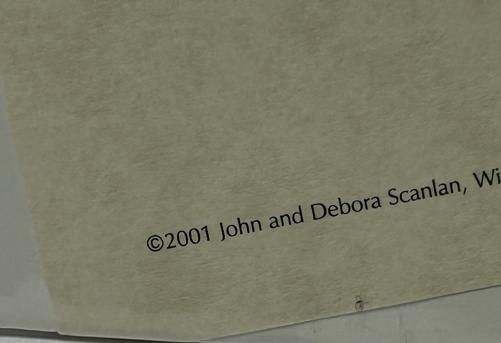 John And Debora Scanlan AP Italy Cat Photograph Print With COA Signed Numbered