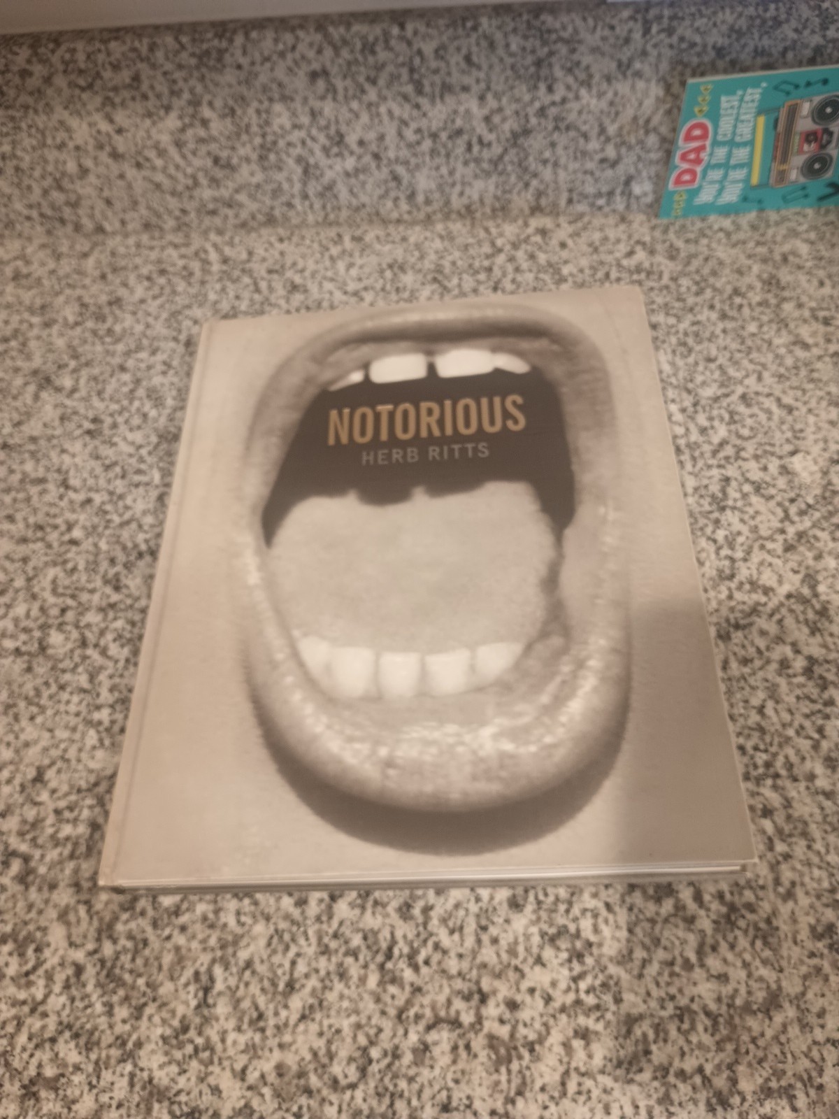 NOTORIOUS Herb Ritts Photo book Photography bulfinch press 1992 W300×H390mm Used