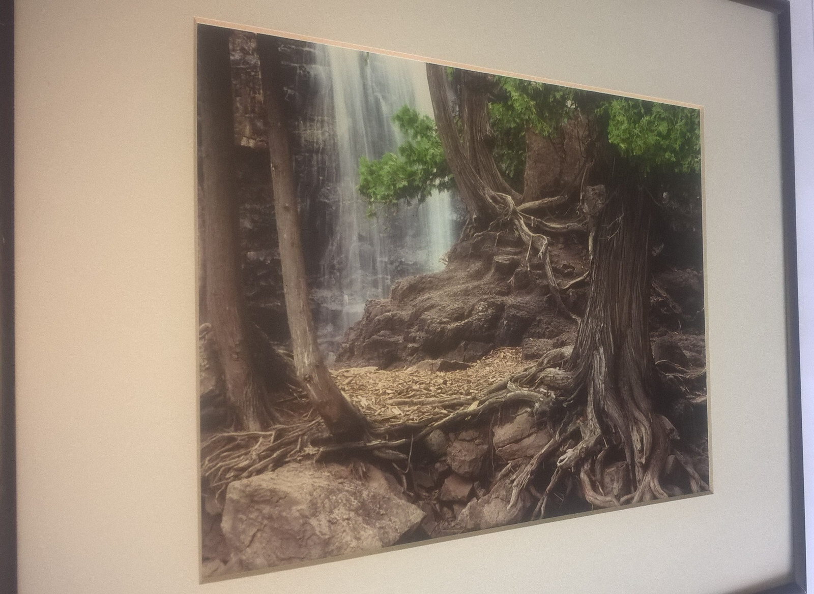 Jay Anderson Photograph Minnesota Gooseberry Falls Framed Art Forest Waterfall