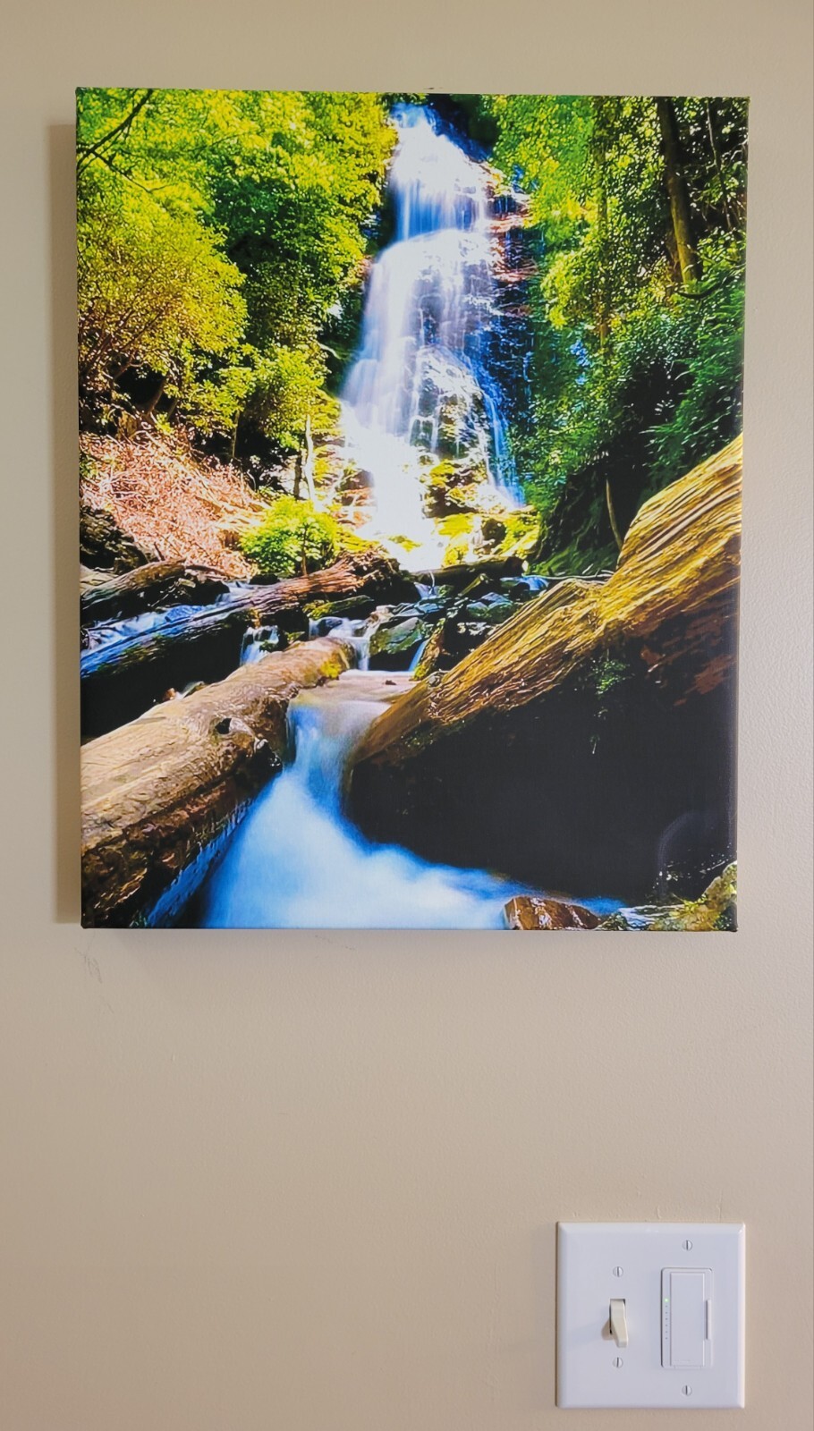 Canvas Photo Mingo Falls Cherokee, NC 16×20 Signed Ltd Edition Gallery Wrapped