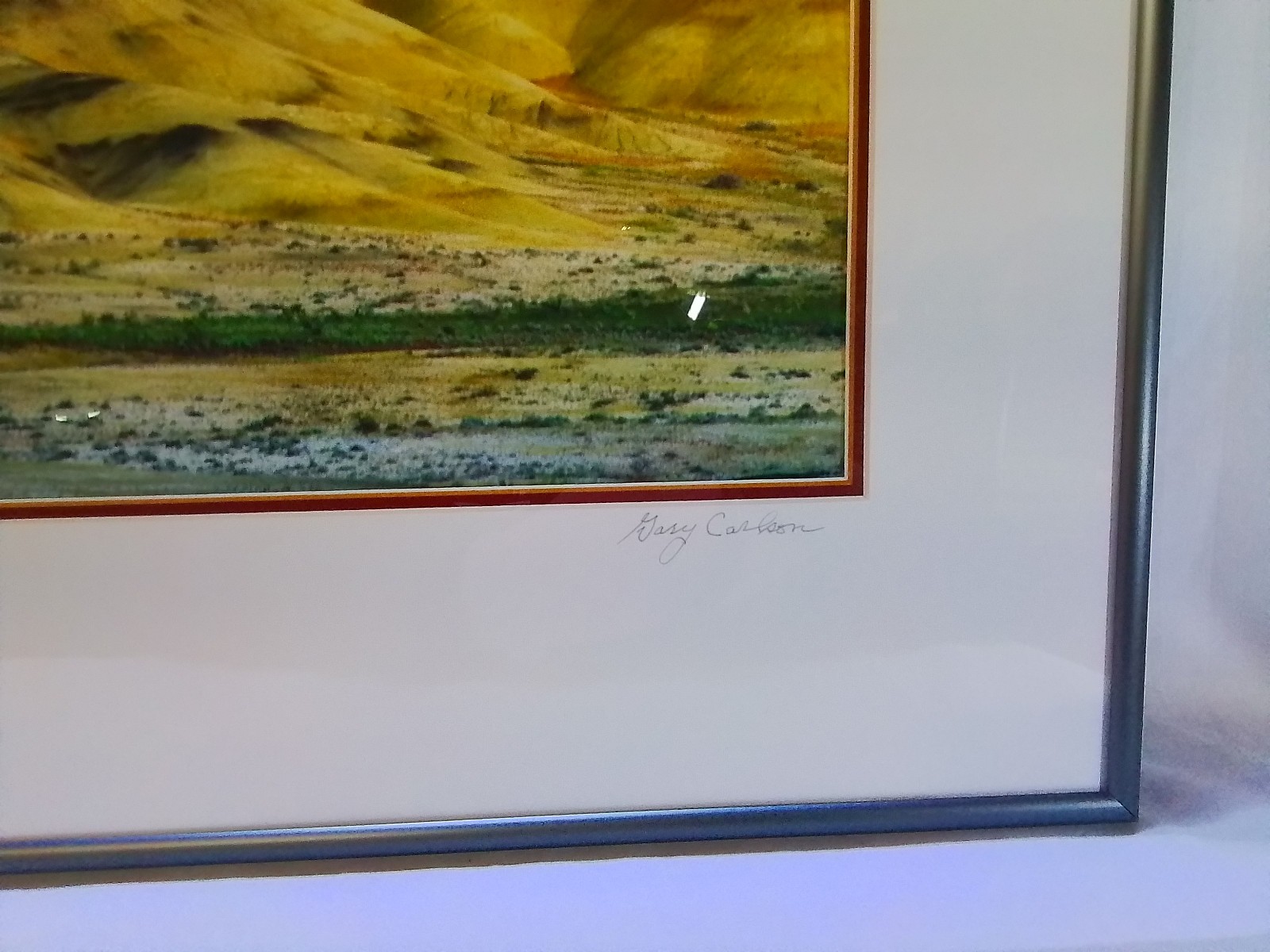 “Painted Hills in Self Focus” – Framed Landscape Photograph by Gary Carlson