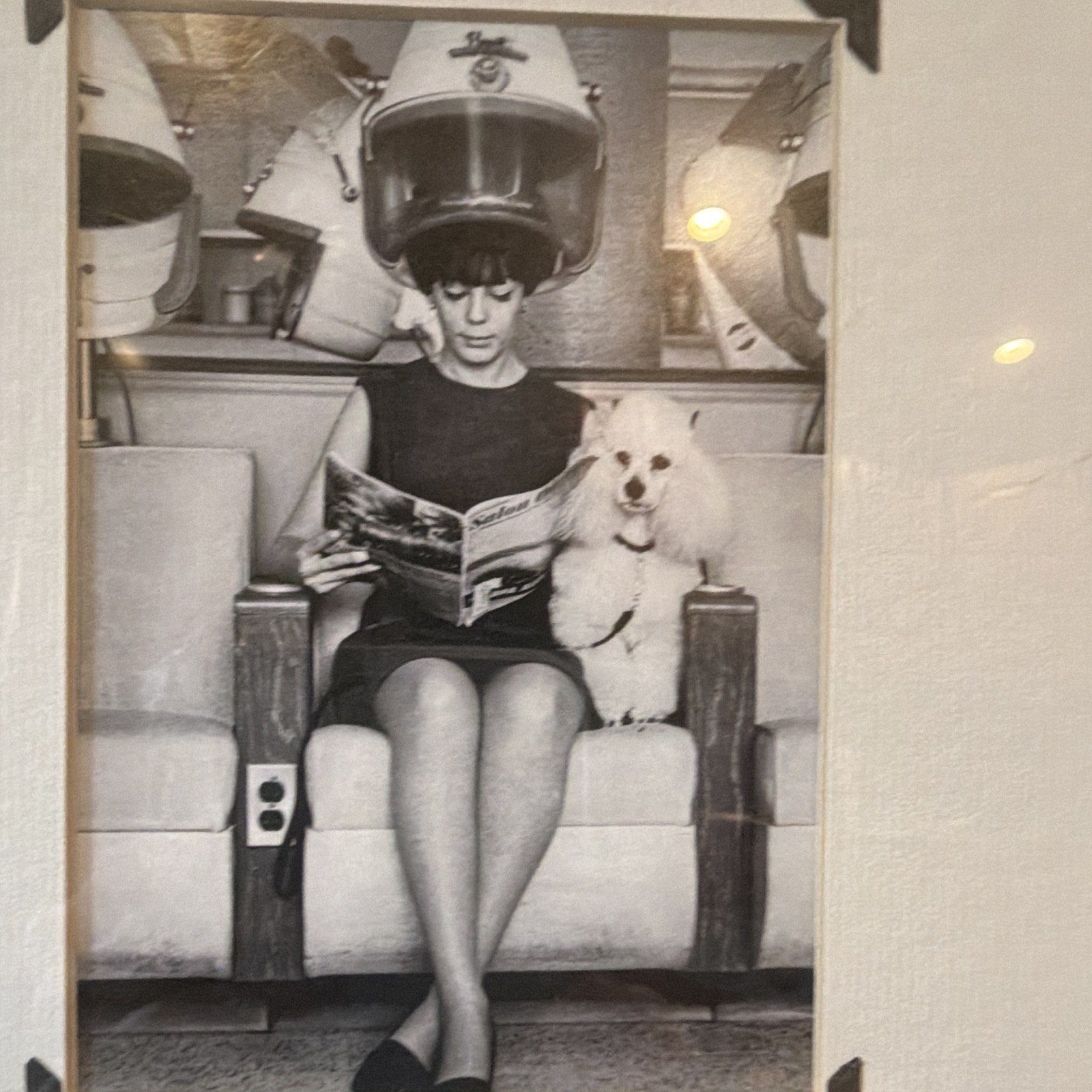 Vintage Black & White Photograph Woman Under Hair Dryer w/ Dog, Framed Matted