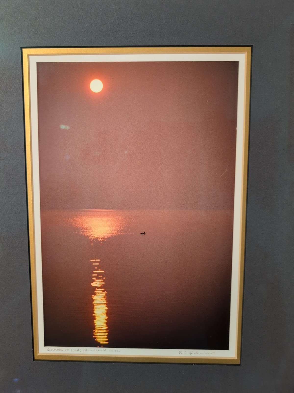 R.C. Fulwiler ” Summer Of Fire” Yellowstone Lake Signed Matted Framed Photo