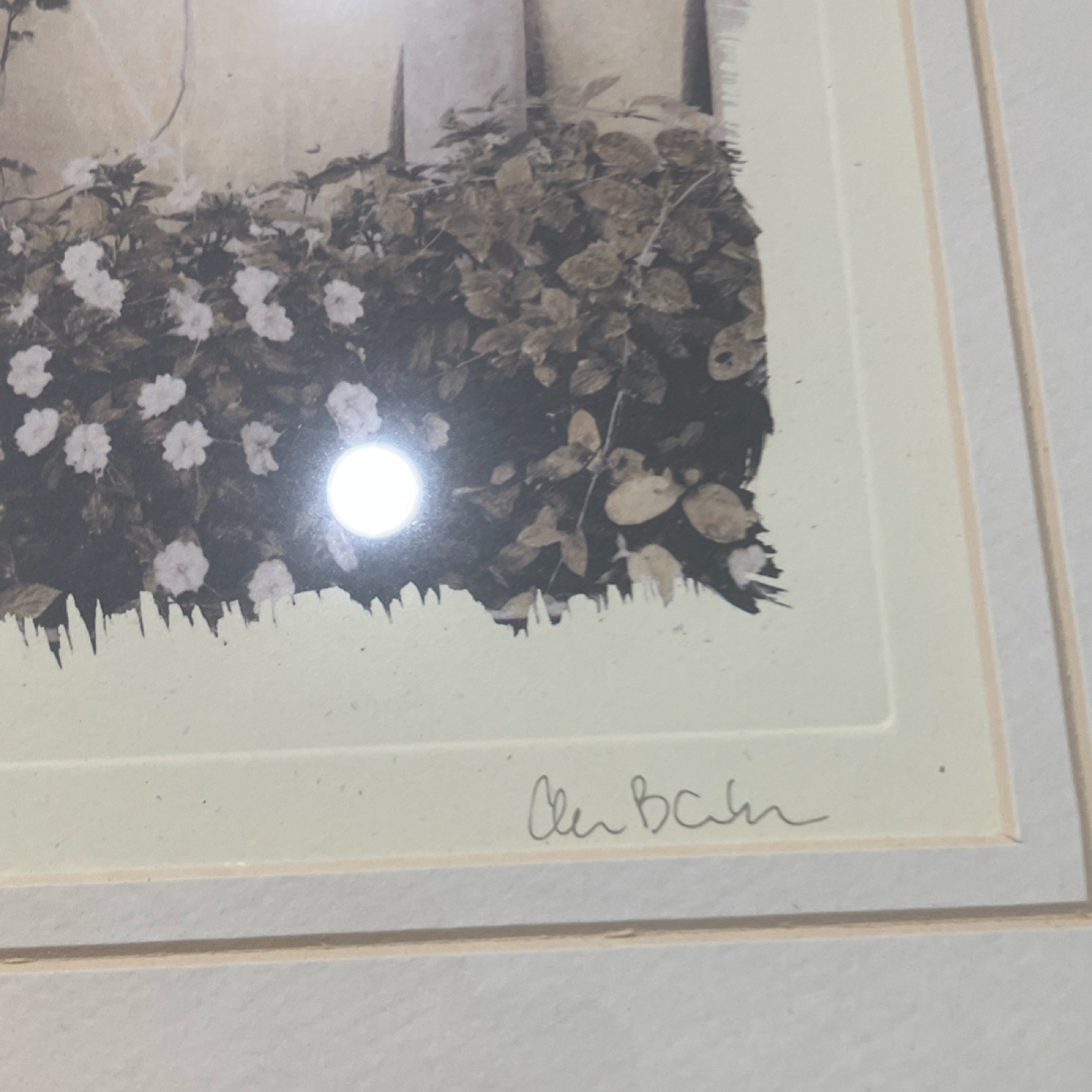 Alan Blaustein European Garden Sepia Set of 3 Framed Landscape Photographs