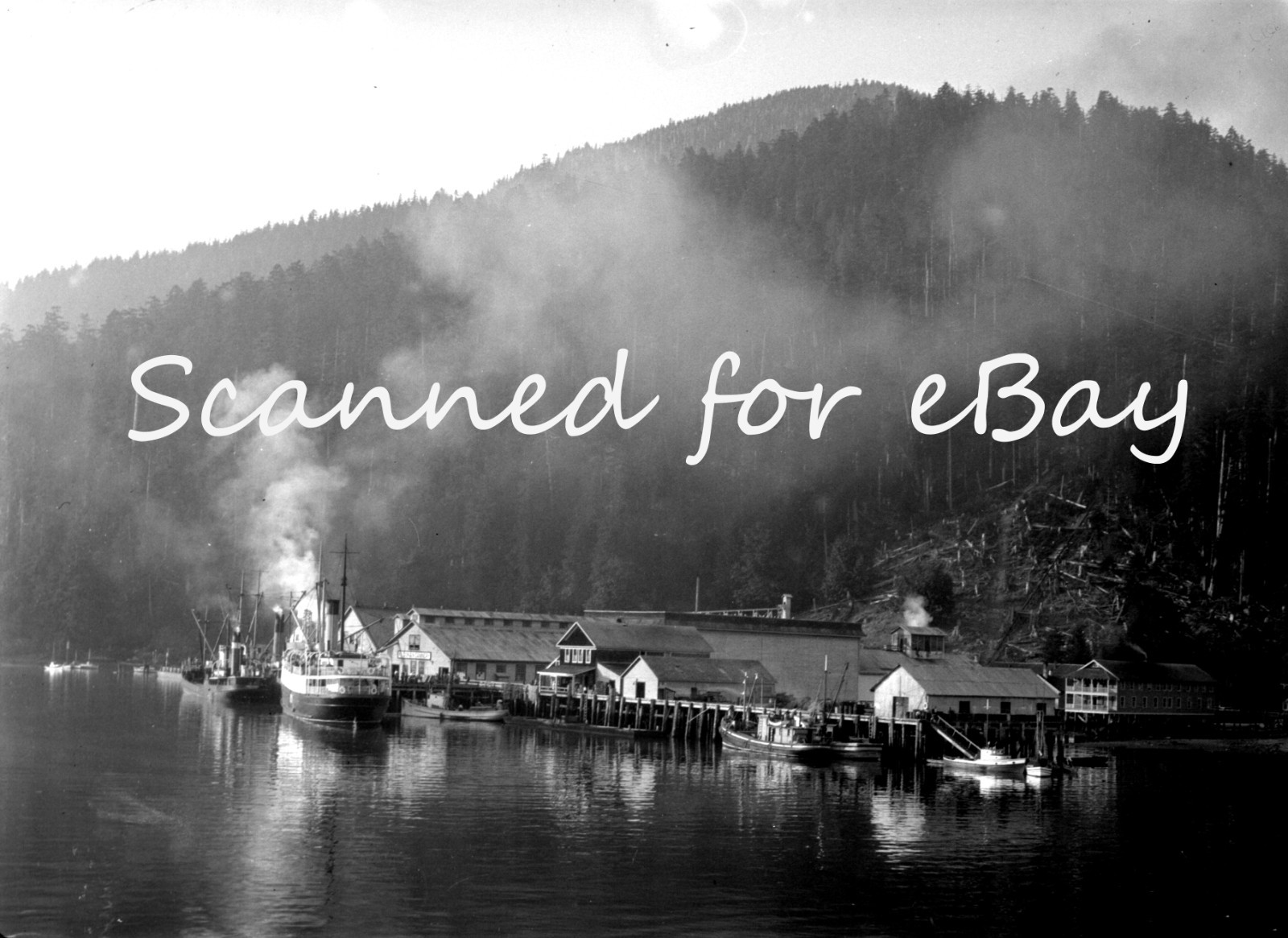 BRITISH COLUMBIA LOGGING CEMENT 1928 100 ORIG NEGATIVES IN ALBUM CANADA PEOPLE