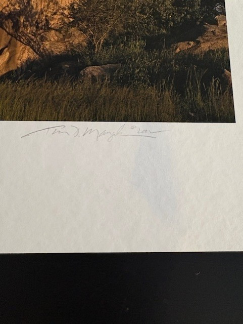 THE NATURAL WORLD ( Signed Limited Edition ) by Thomas D. Mangelsen #183/500