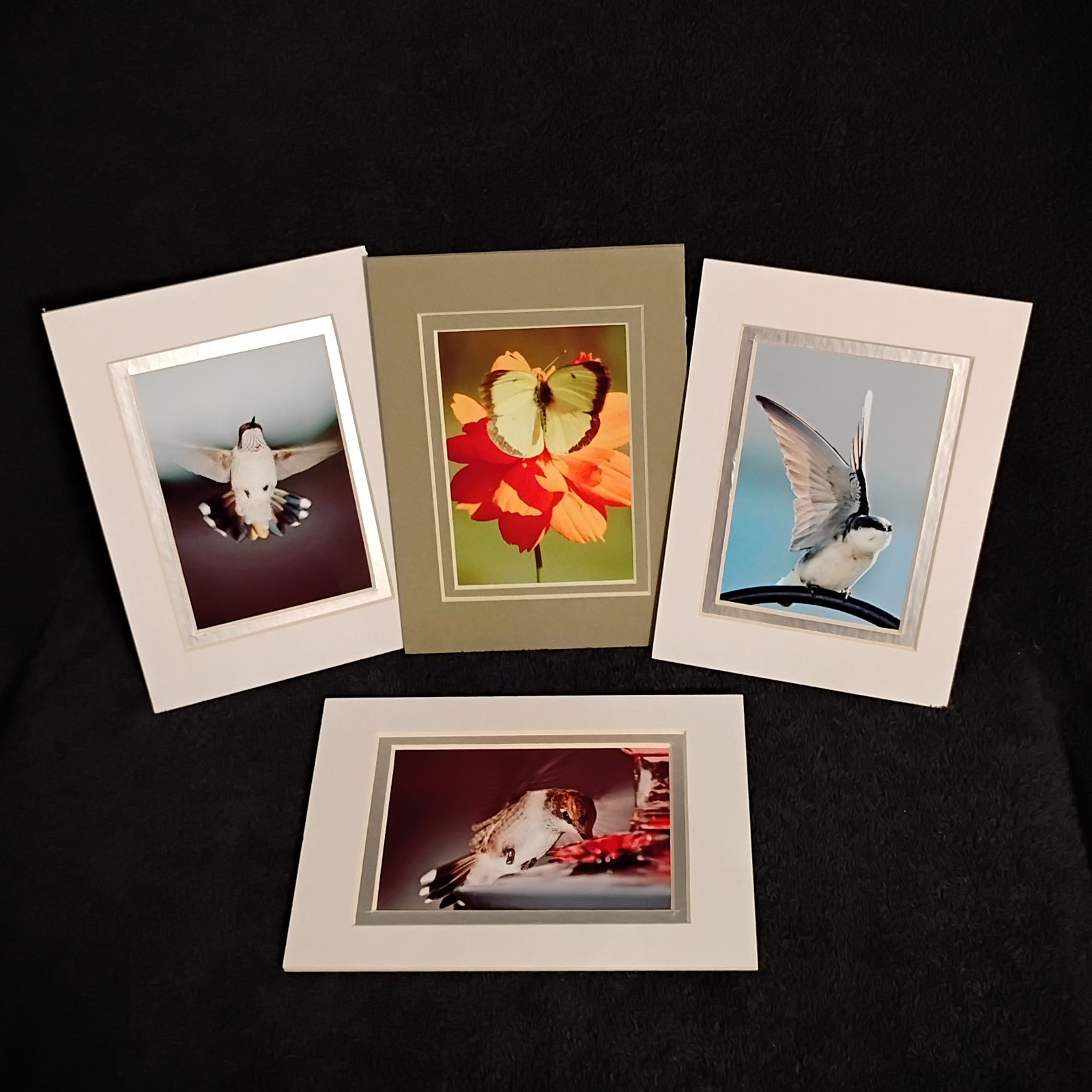 Wall Art Photography Hummingbirds Butterflies Garden 3×5 Photo Prints 4×6 Mats