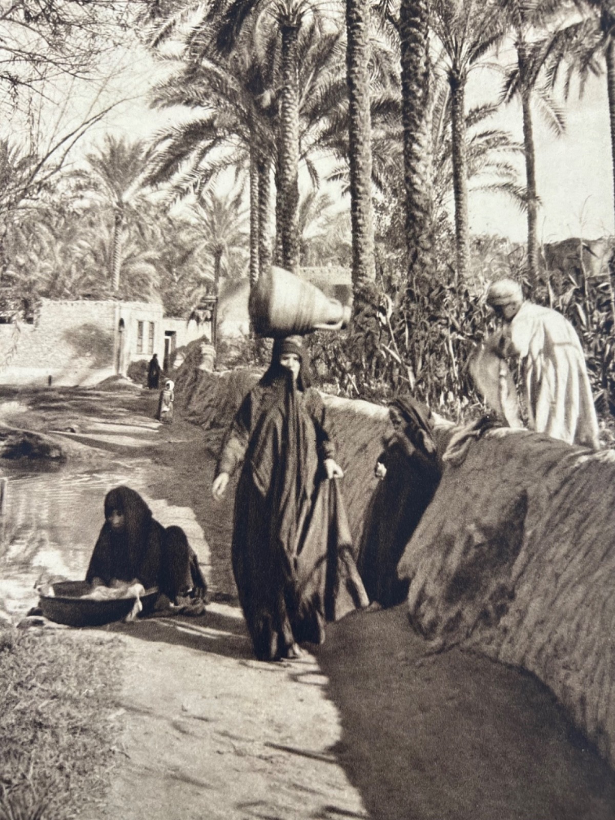 Lehnert and Landrock Antique Photo “Native Scenery at Marg” w/ Matt
