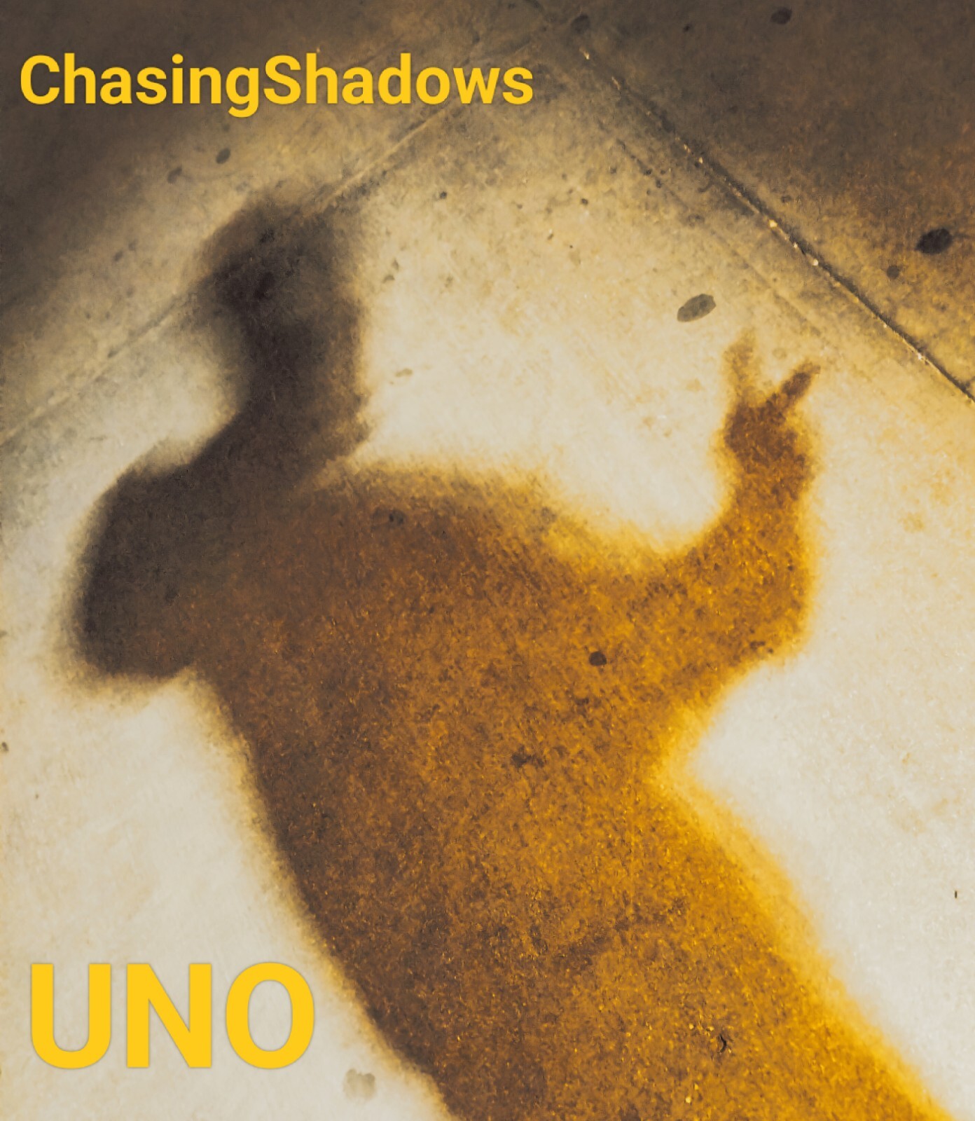 Photography Prints Chasing Shadows ShamuUno 1st Edition Signed